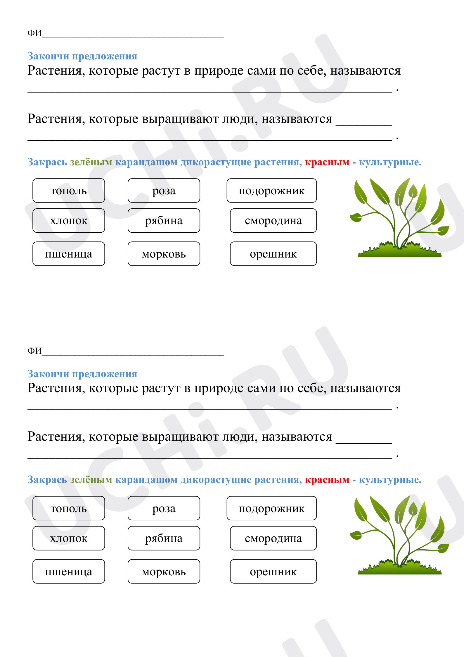 Предпросмотр материала Самостоятельная работа по теме "Дикорастущие и культурные растения"