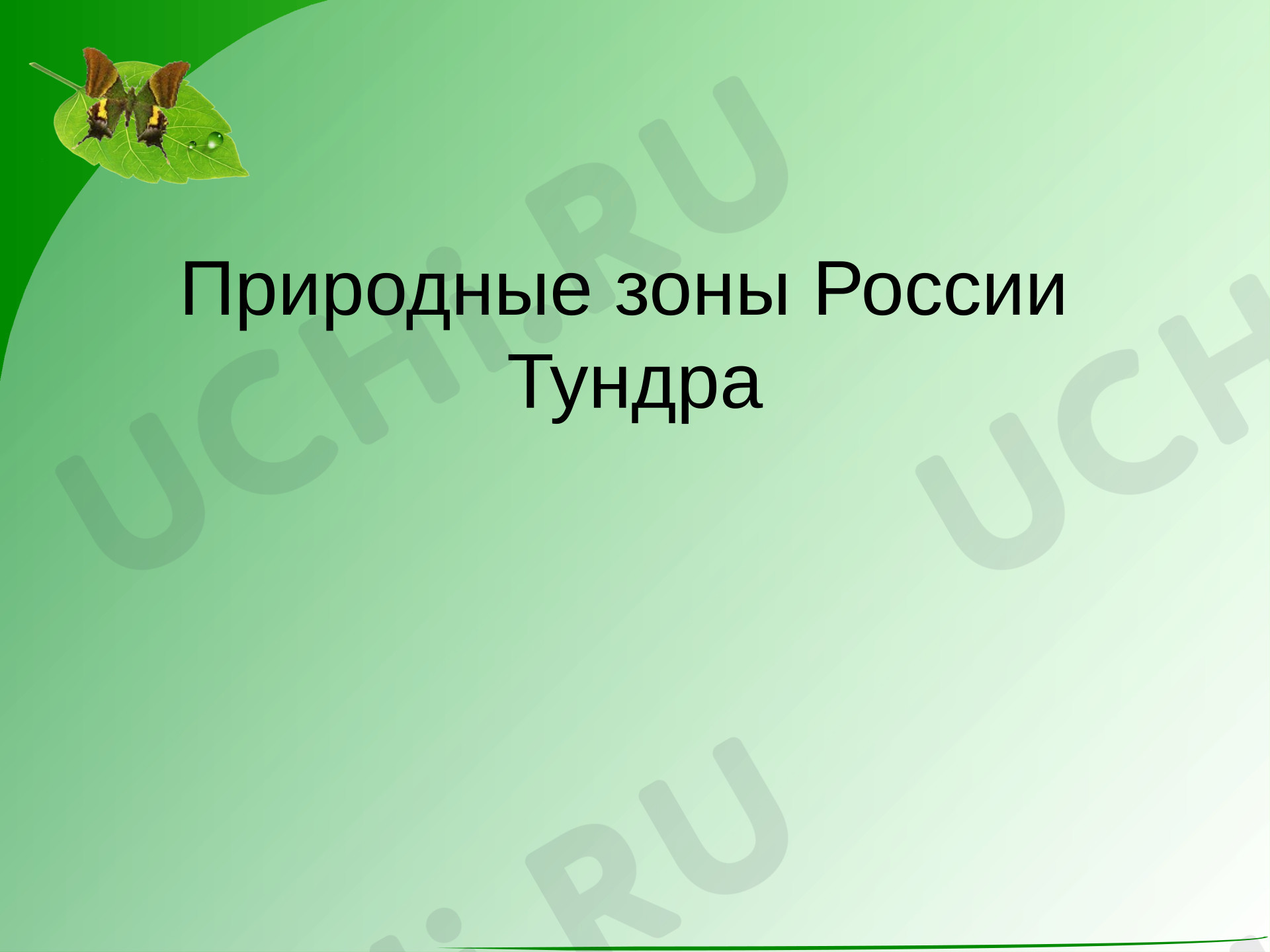 Предпросмотр материала Презентация к уроку окружающего мира. Тундра.