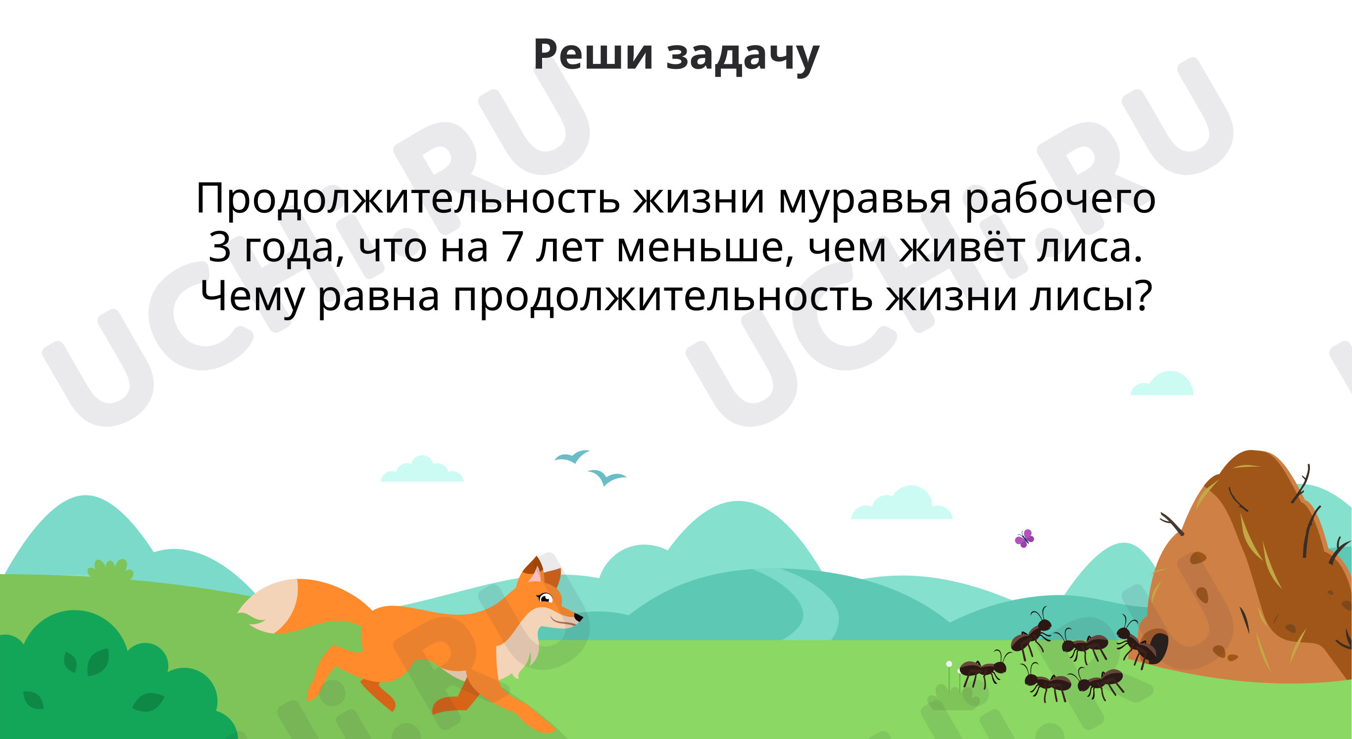 ?? Презентация №3 по теме “Реши задачу” для 3 класса | Учи.ру