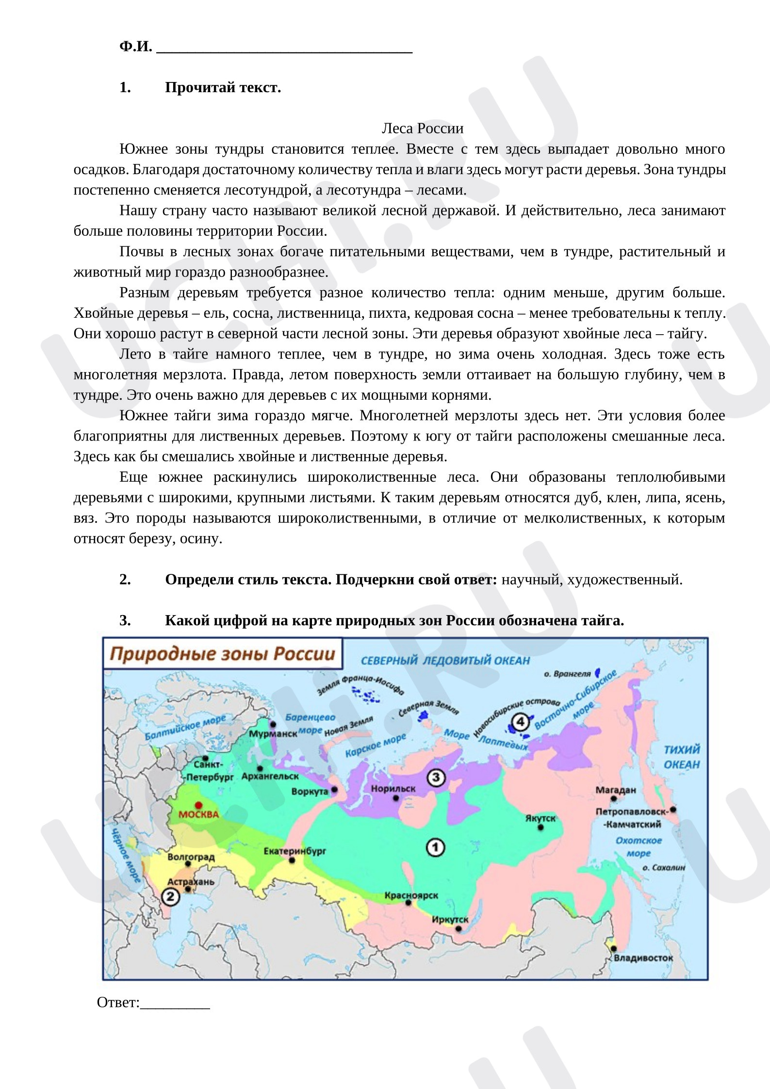 Предпросмотр материала Рабочие листы к уроку окружающего мира. Характеристика природных зон России: леса России