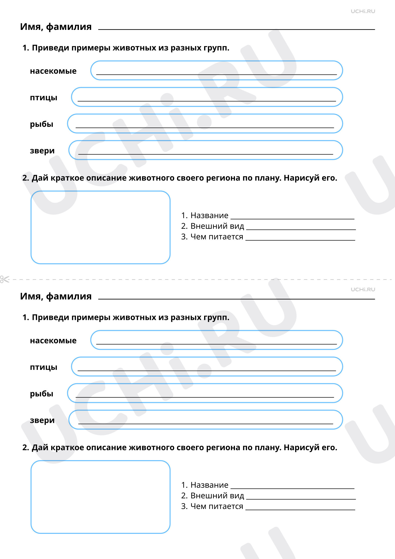 Рабочие листы по теме «Многообразие мира животных. Какие животные живут в  нашем регионе?». Повышенный уровень: Многообразие мира животных. Какие  животные живут в нашем регионе? | Учи.ру