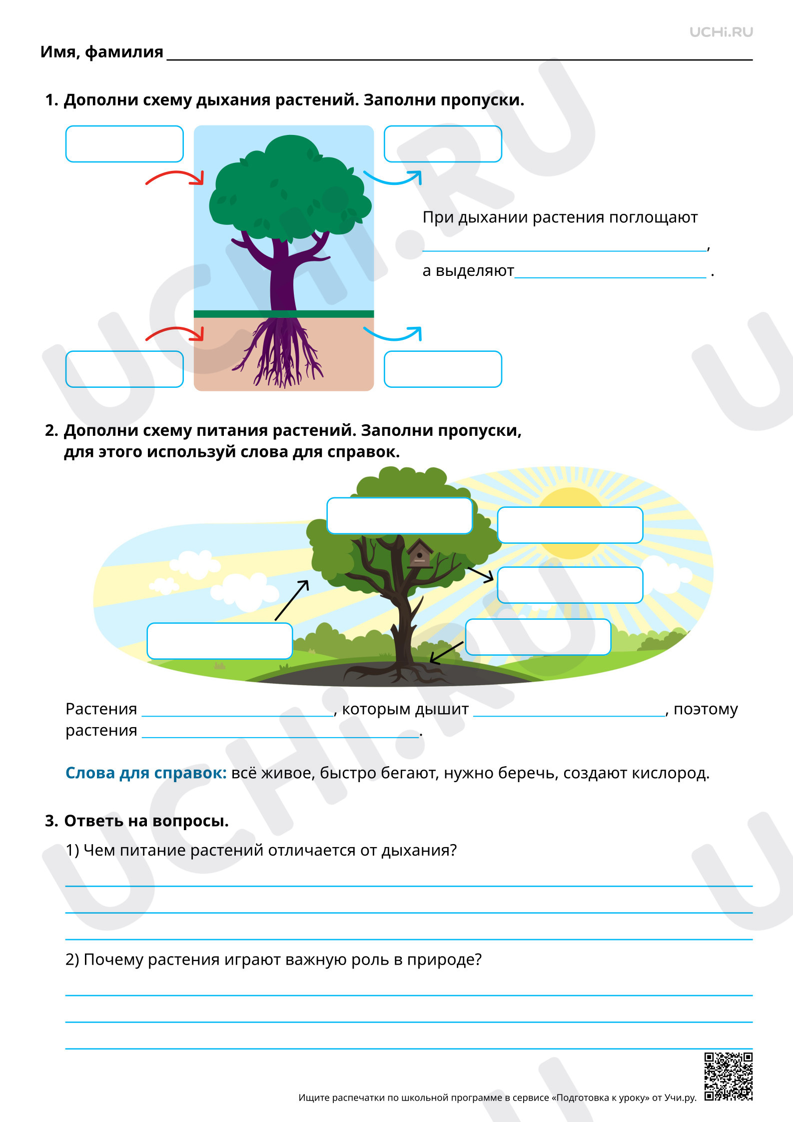 Предпросмотр материала Растение как живой организм. Базовый уровень