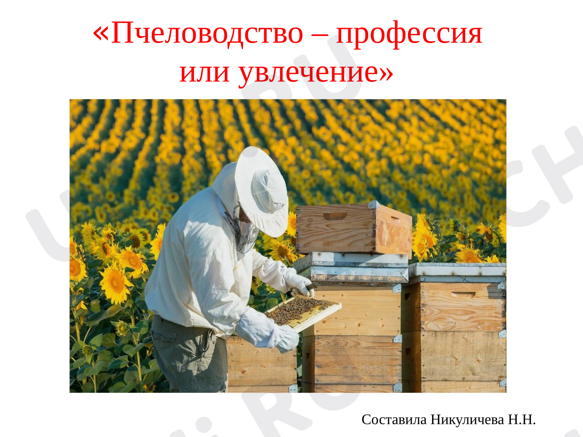 Предпросмотр материала Презентация к уроку окружающего мира. Пчеловодство.