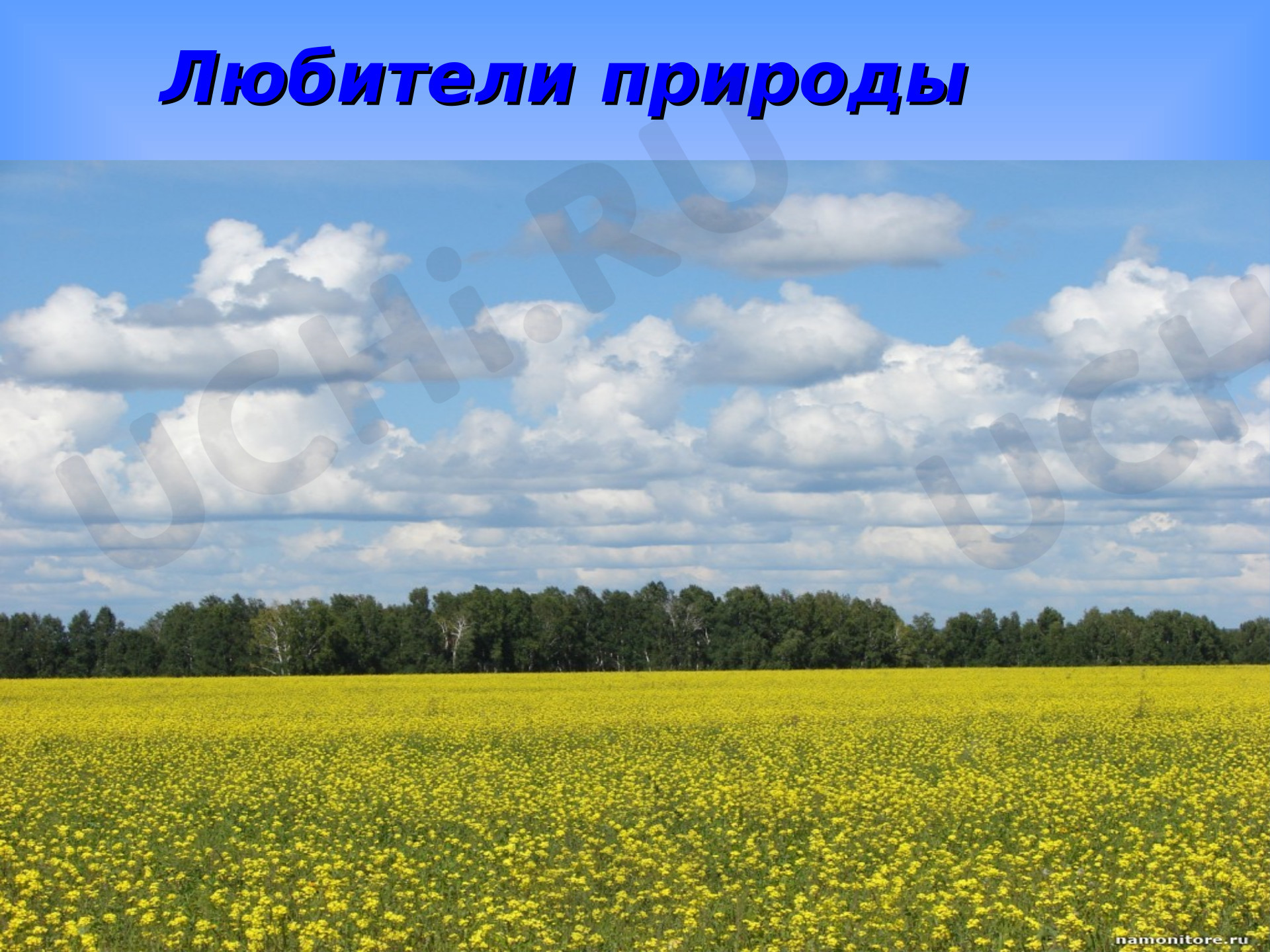 Предпросмотр материала люблю природу родного края