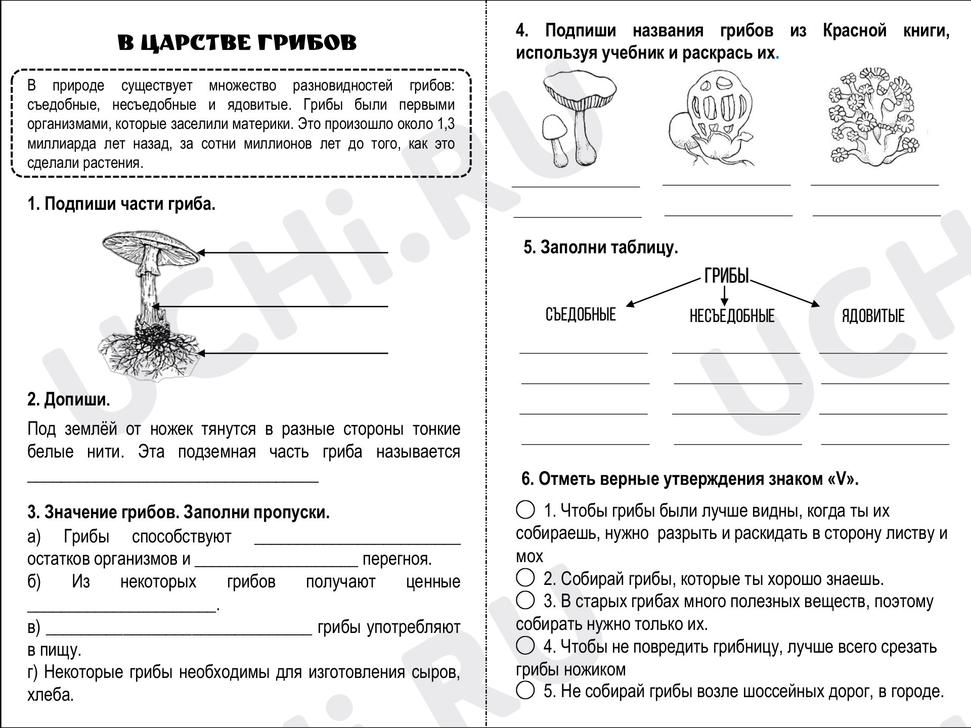 Предпросмотр материала Рабочий лист к уроку окружающего мира по теме: В царстве грибов