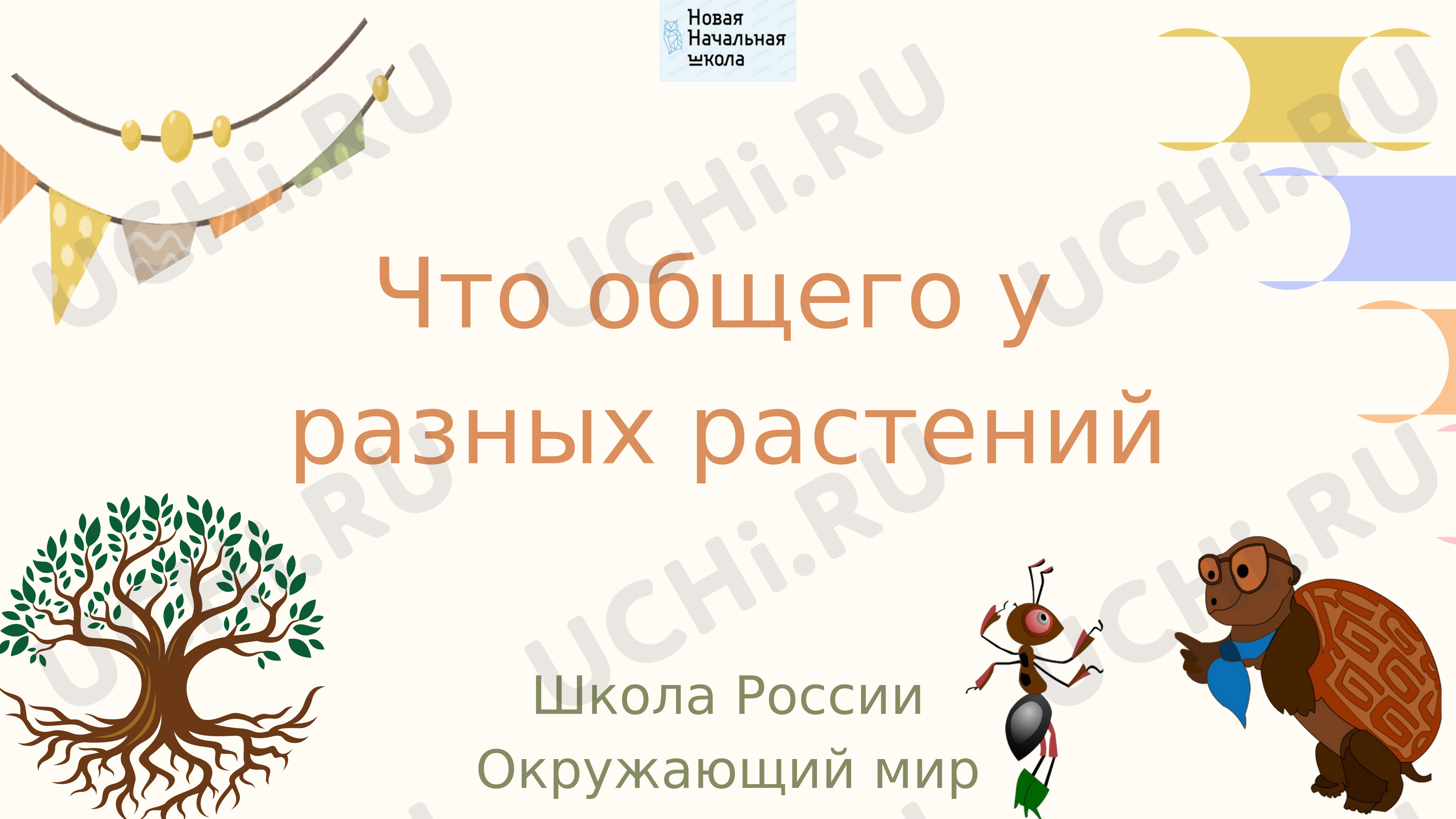Предпросмотр материала Что общего у разных растений