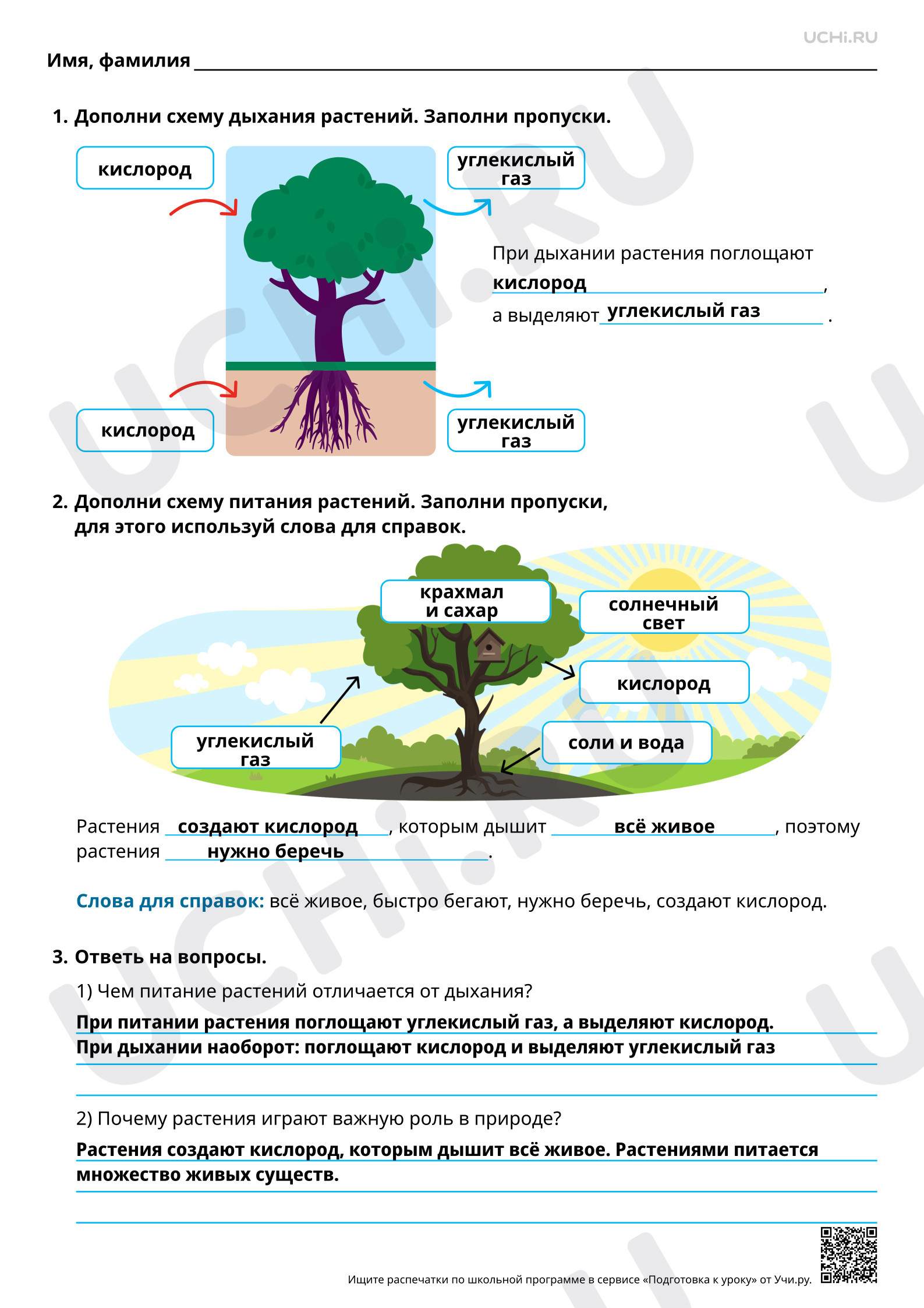 Предпросмотр материала Растение как живой организм. Ответы