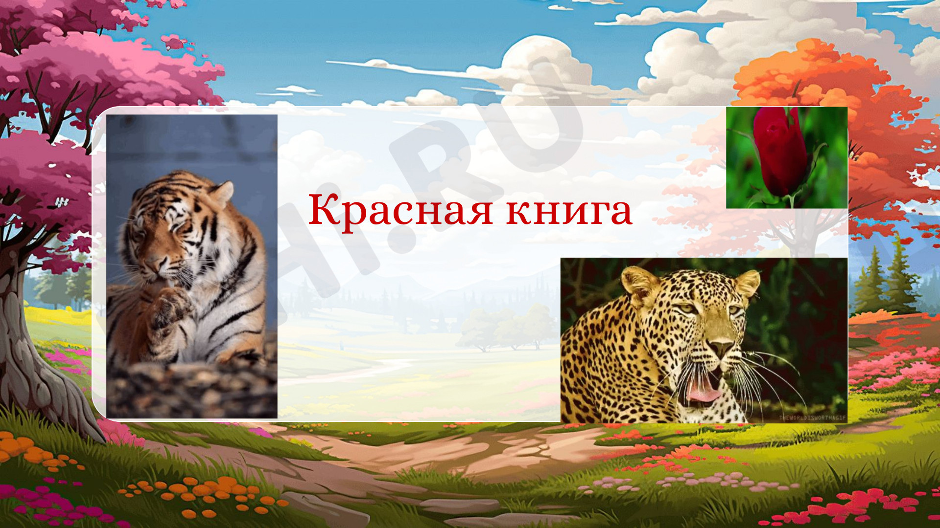 Предпросмотр материала Презентация к уроку окружающего мира по теме: Красная книга