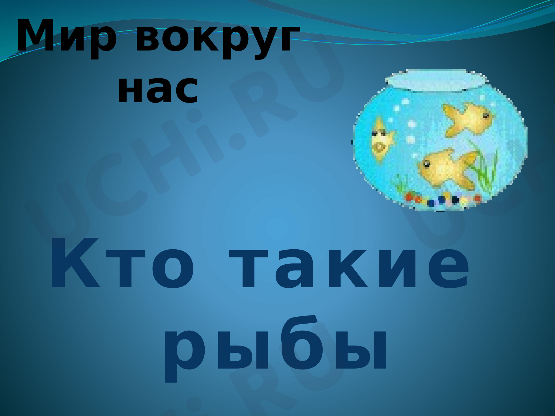 Предпросмотр материала Презентация к уроку окружающего мира. Кто такие рыбы?