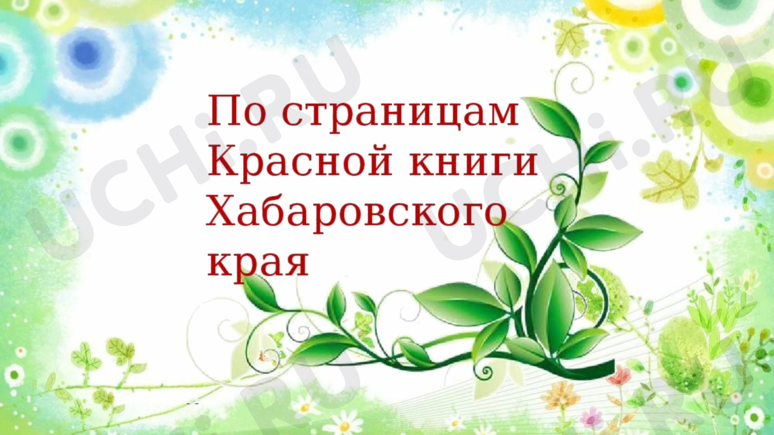 Предпросмотр материала Презентация «По страницам Хабаровского края. Игра»
