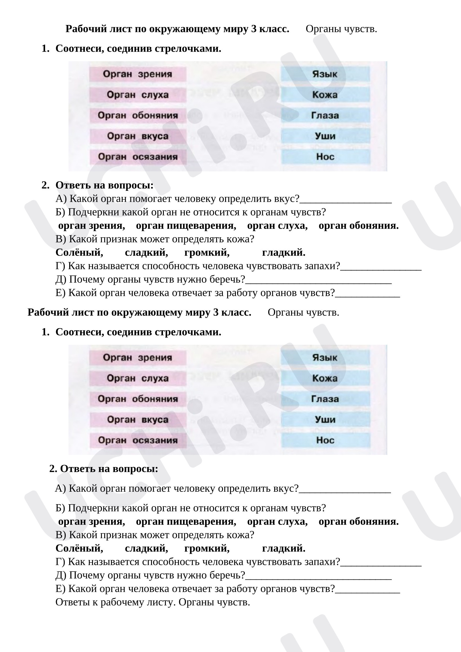 Предпросмотр материала Рабочий лист к уроку окружающего мира. Органу чувств