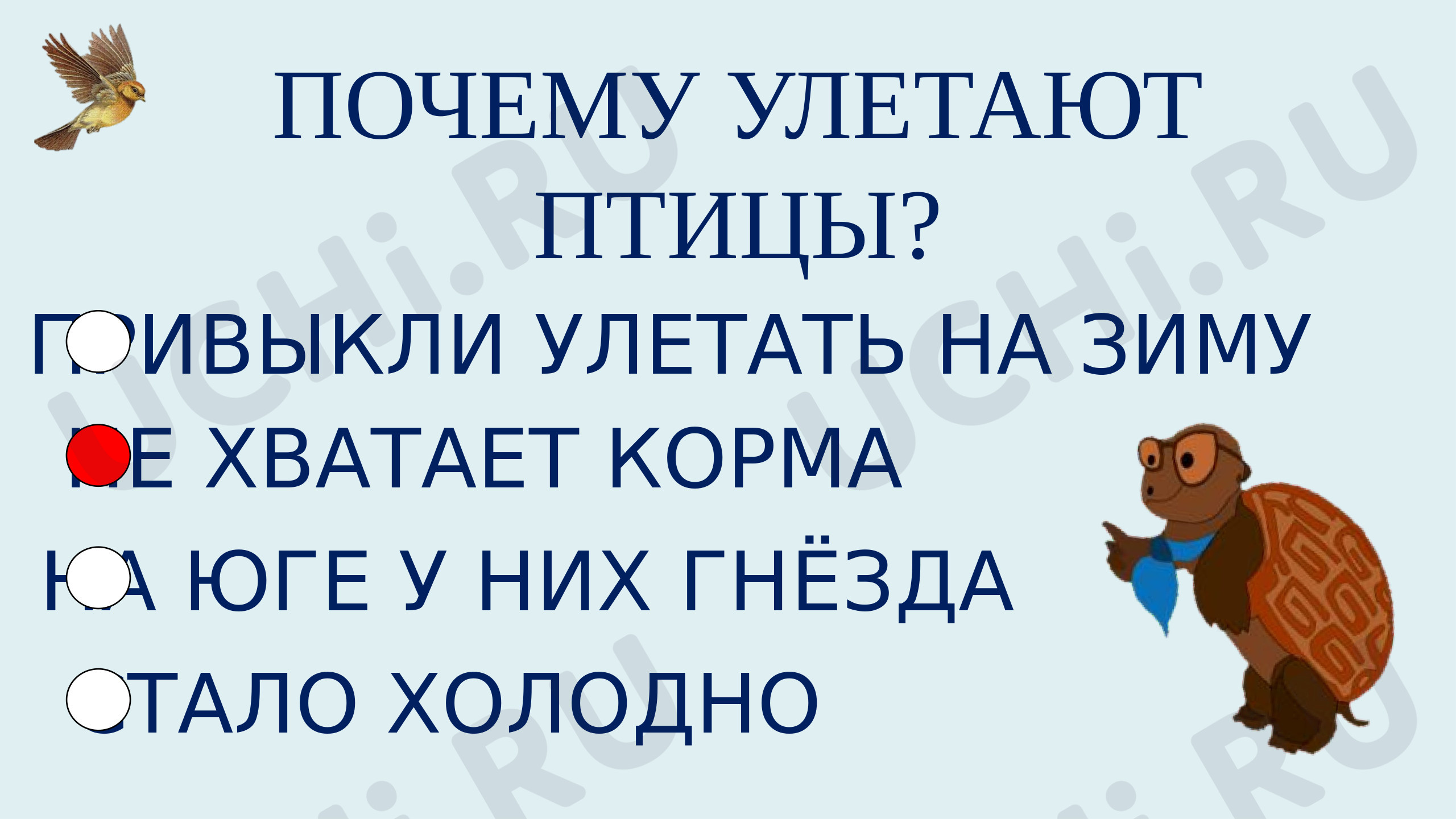 Помогите птицам зимой (2)