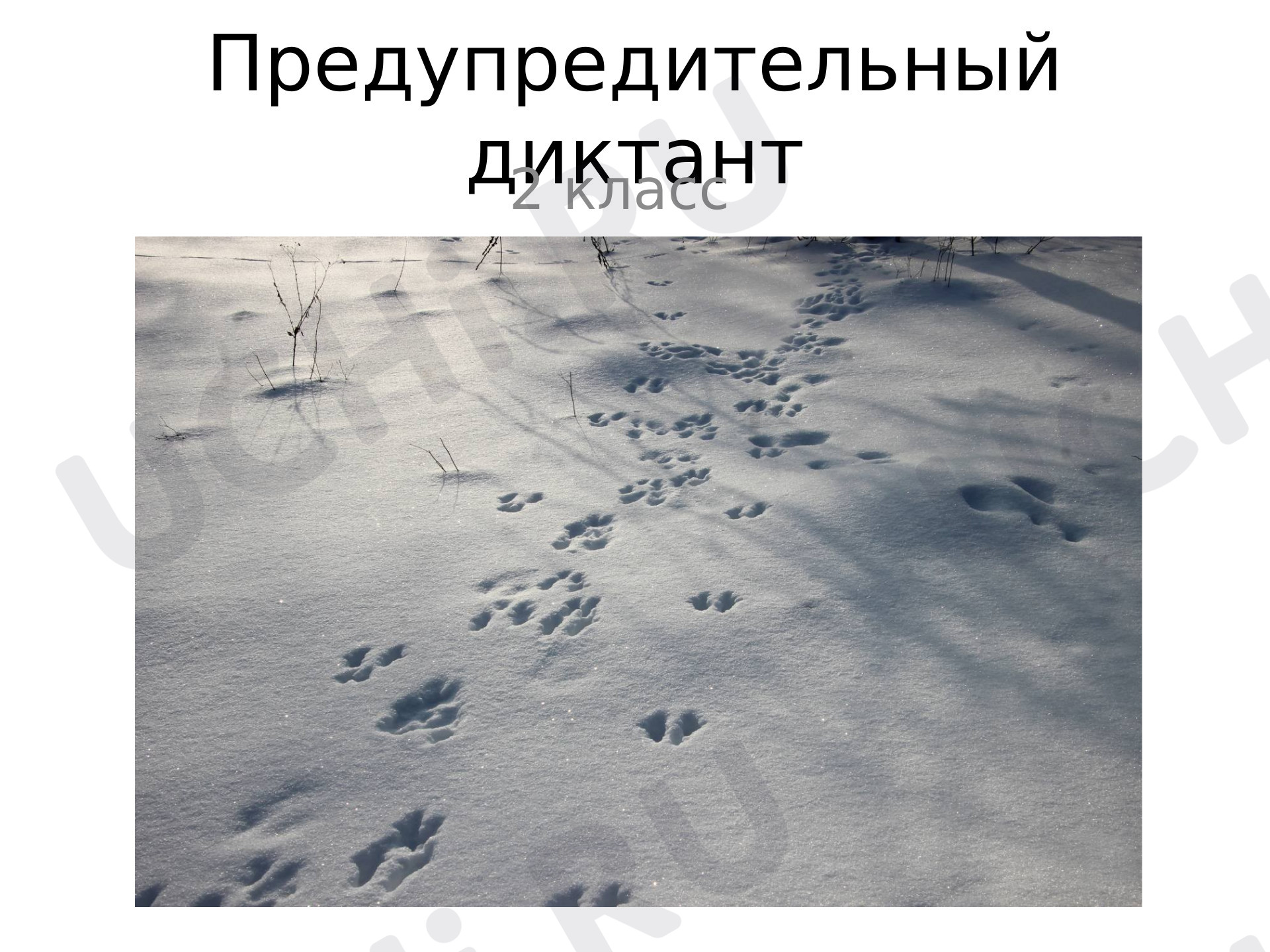 Предпросмотр материала Презентация к уроку русского языка. Предупредительный диктант