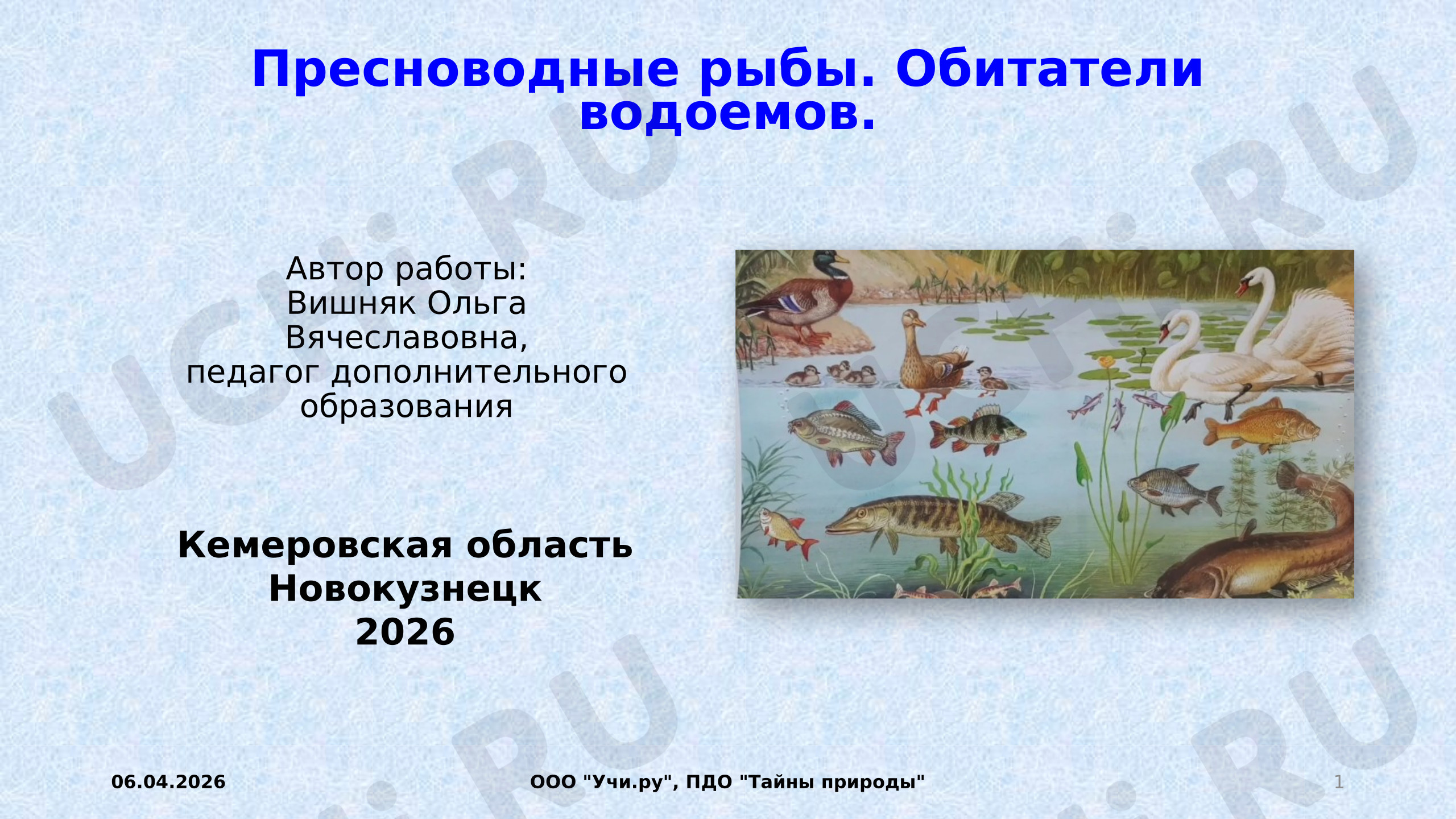 Предпросмотр материала Презентация к занятию. Пресноводные рыбы. Обитатели водоемов.