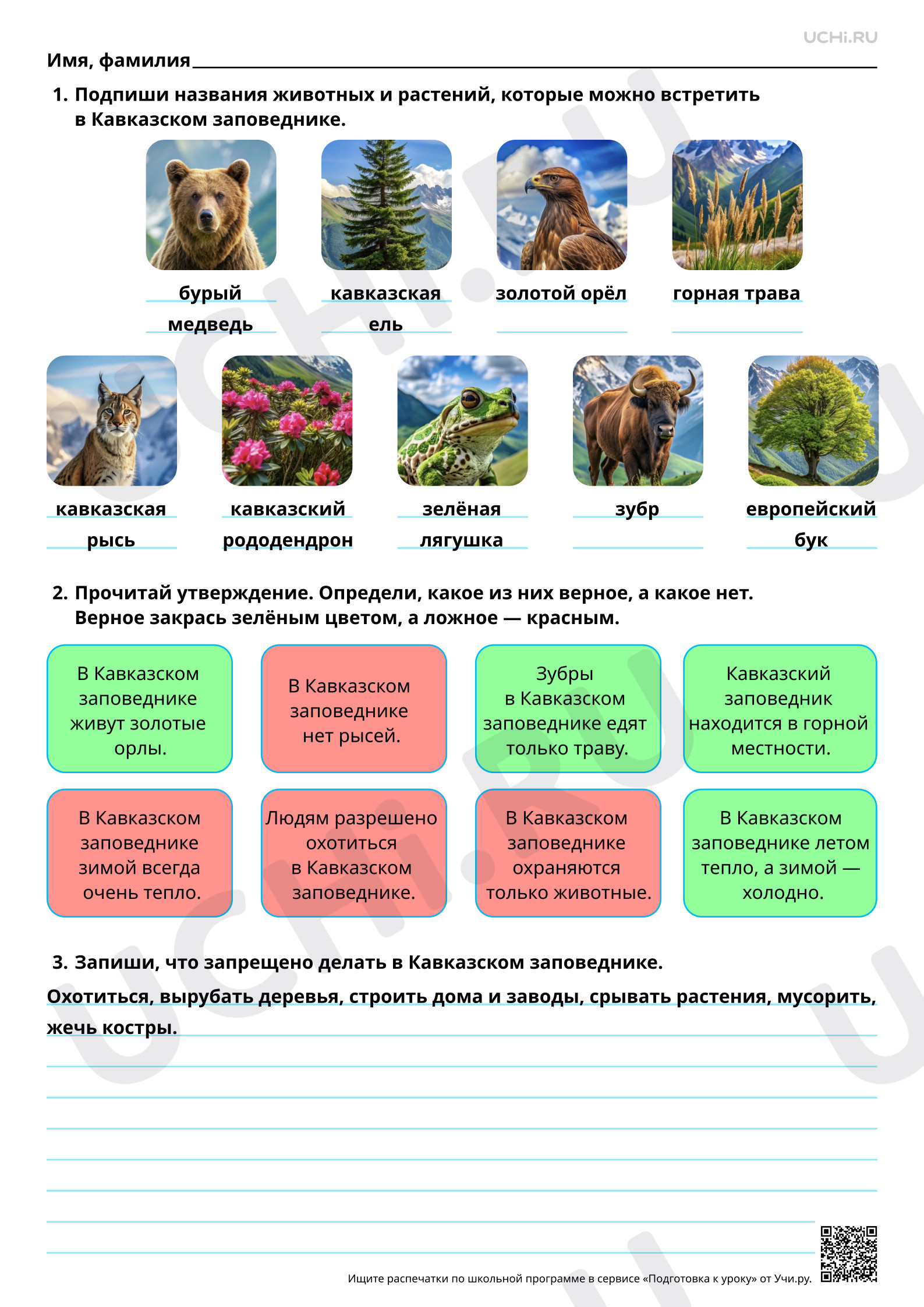 Предпросмотр материала Заповедники Юга России (Кавказский заповедник). Ответы