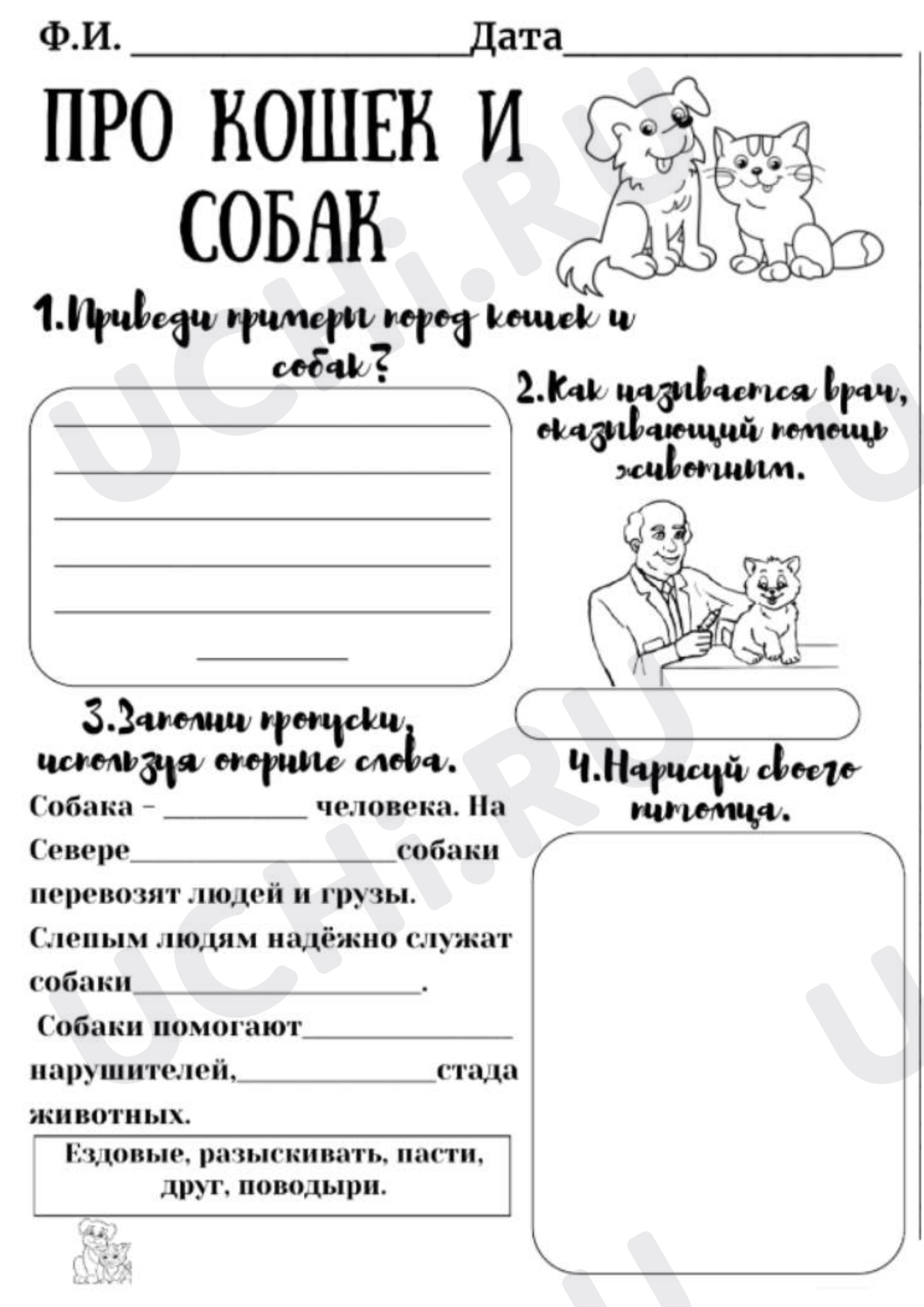 Предпросмотр материала Рабочий лист к уроку окружающего мира. Про кошек и собак.