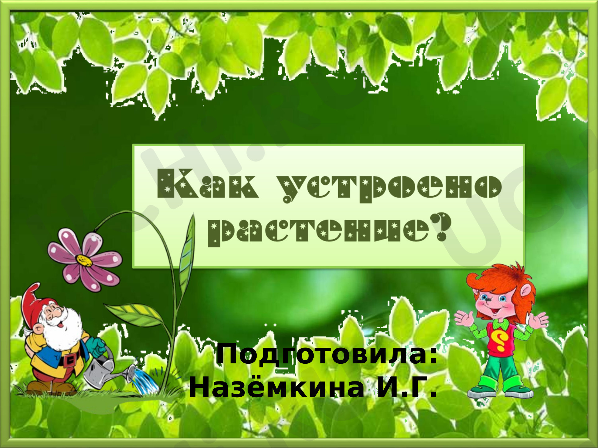 Предпросмотр материала Презентация к уроку окружающего мира. Как устроено растение.