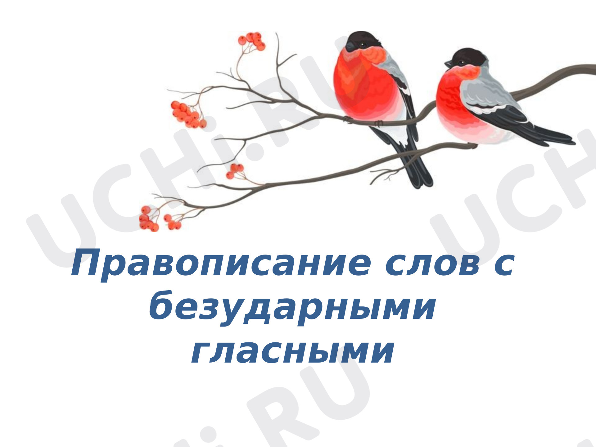 Предпросмотр материала Презентация к уроку русского языка. (фрагмент)Правописание слов с безударными гласными непроверяемые ударением
