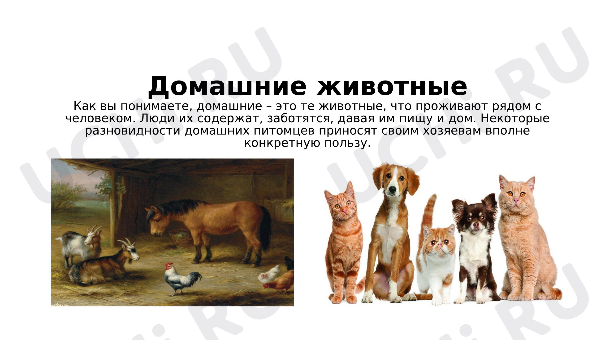 Предпросмотр материала Презентация к фрагменту урока окружающего мира. Домашние животные.