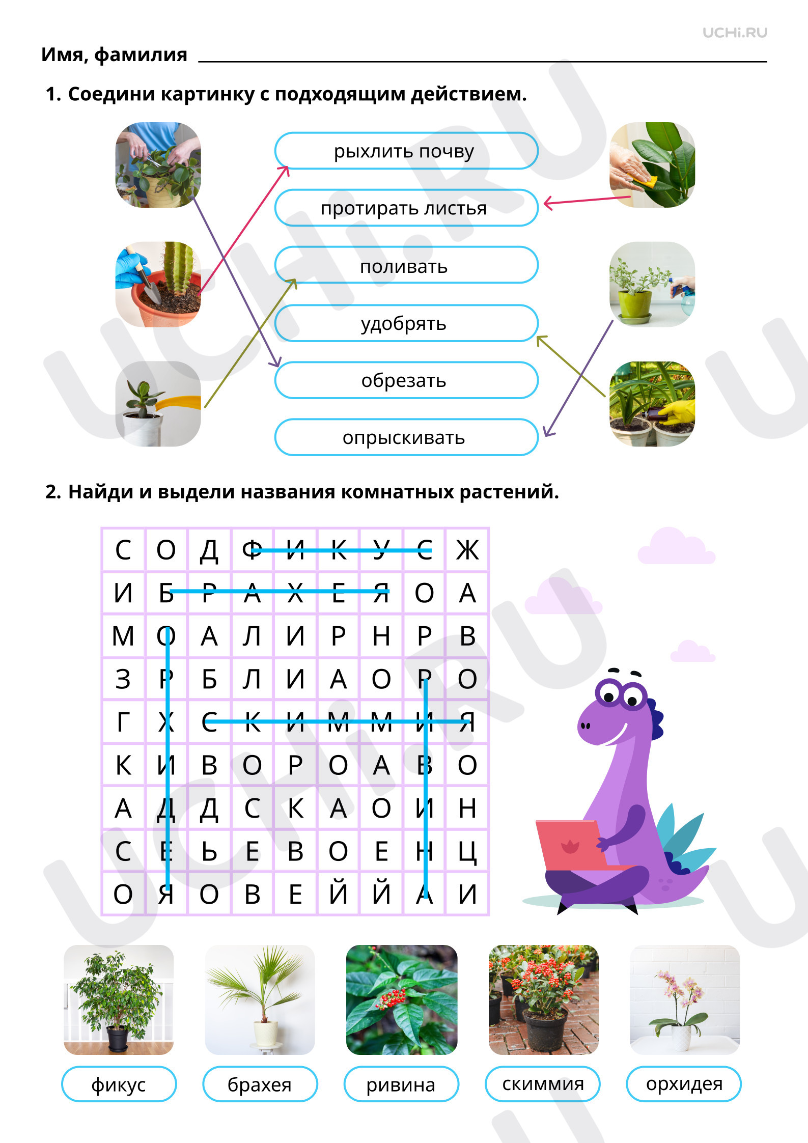 Предпросмотр материала Как мы ухаживаем за растениями (практическая работа). Ответы на рабочие листы