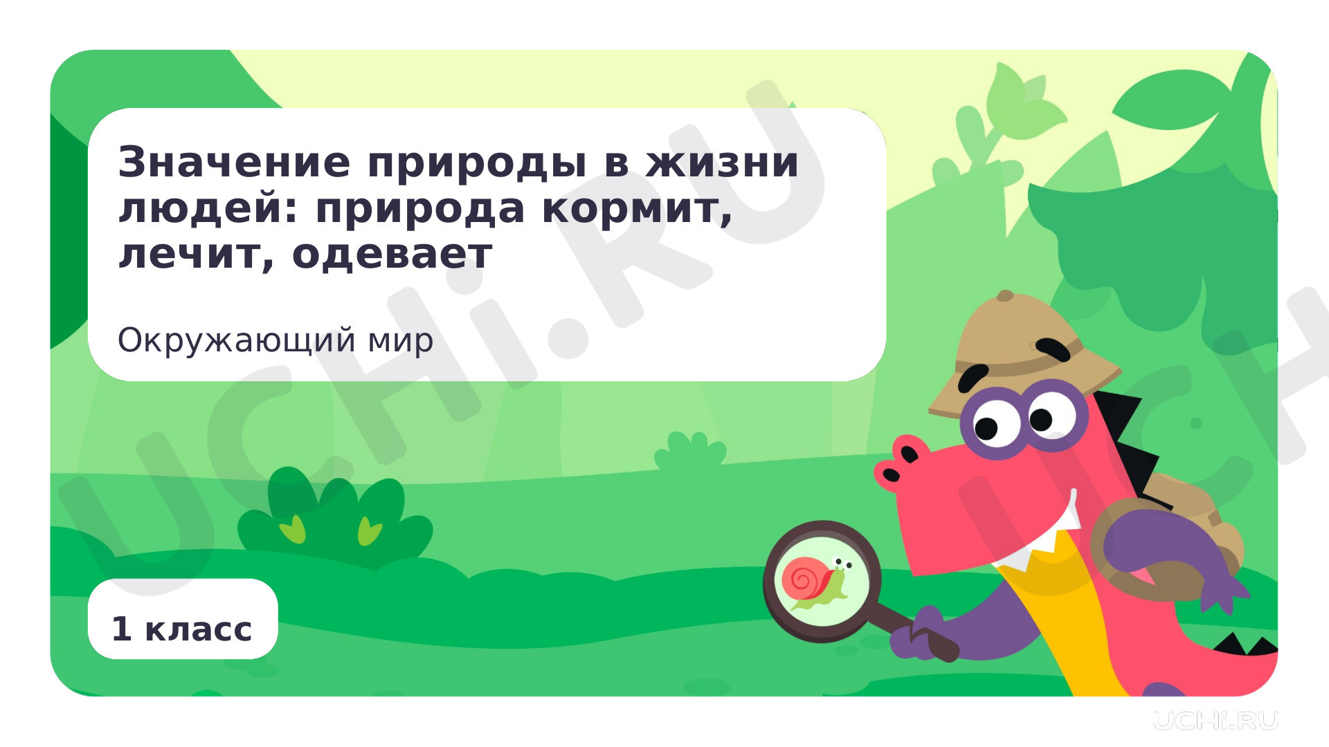 Предпросмотр материала Значение природы в жизни людей: природа кормит, лечит