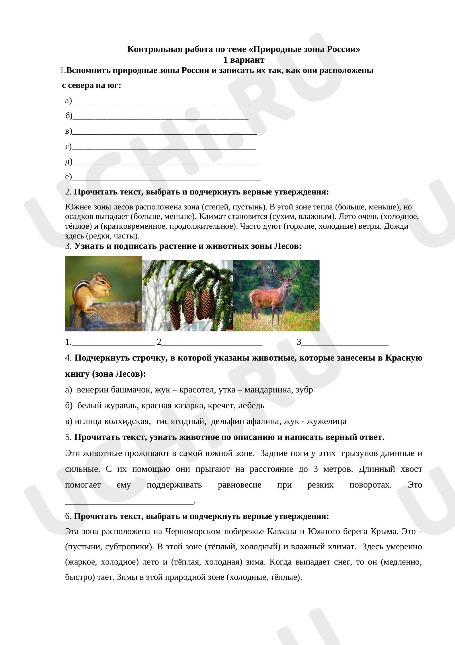 Предпросмотр материала Проверочная работа к уроку окружающего мира. Природные зоны России.