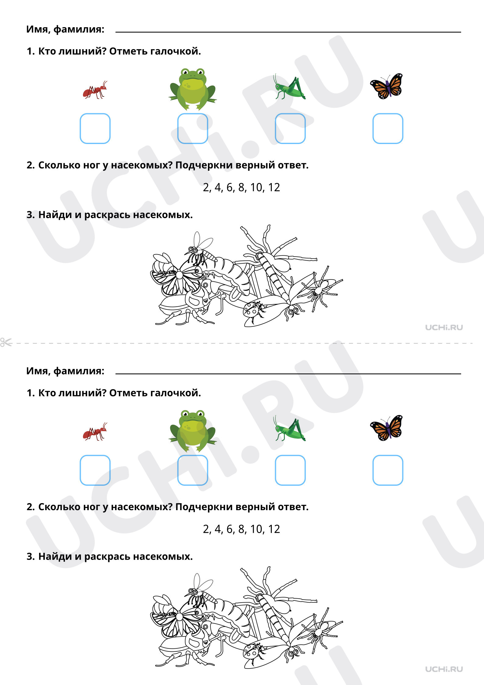 Предпросмотр материала Кто такие насекомые? Базовый уровень