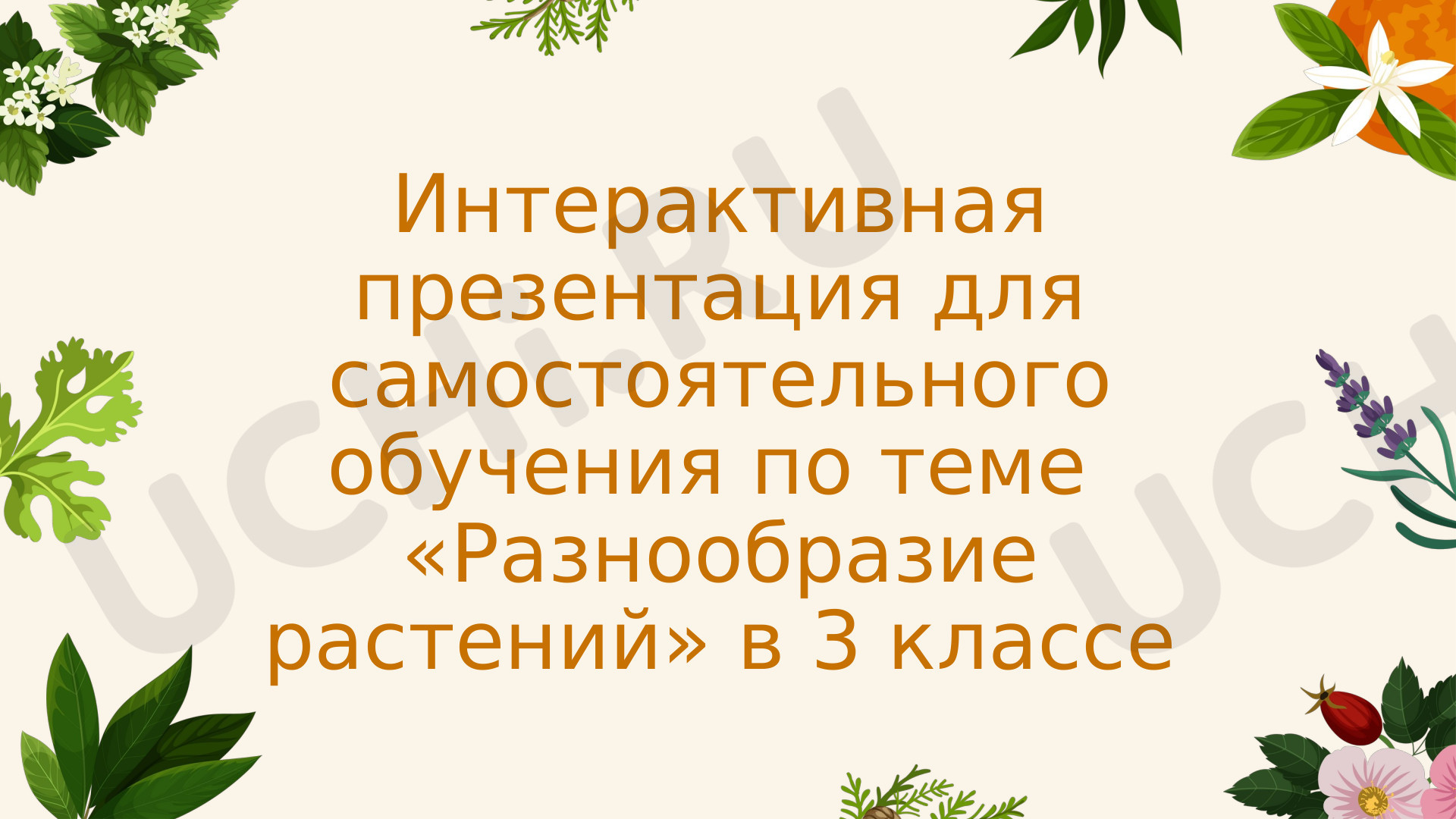 Предпросмотр материала Интерактивная презентация для самостоятельного обучения по теме  «Разнообразие растений» в 3 классе