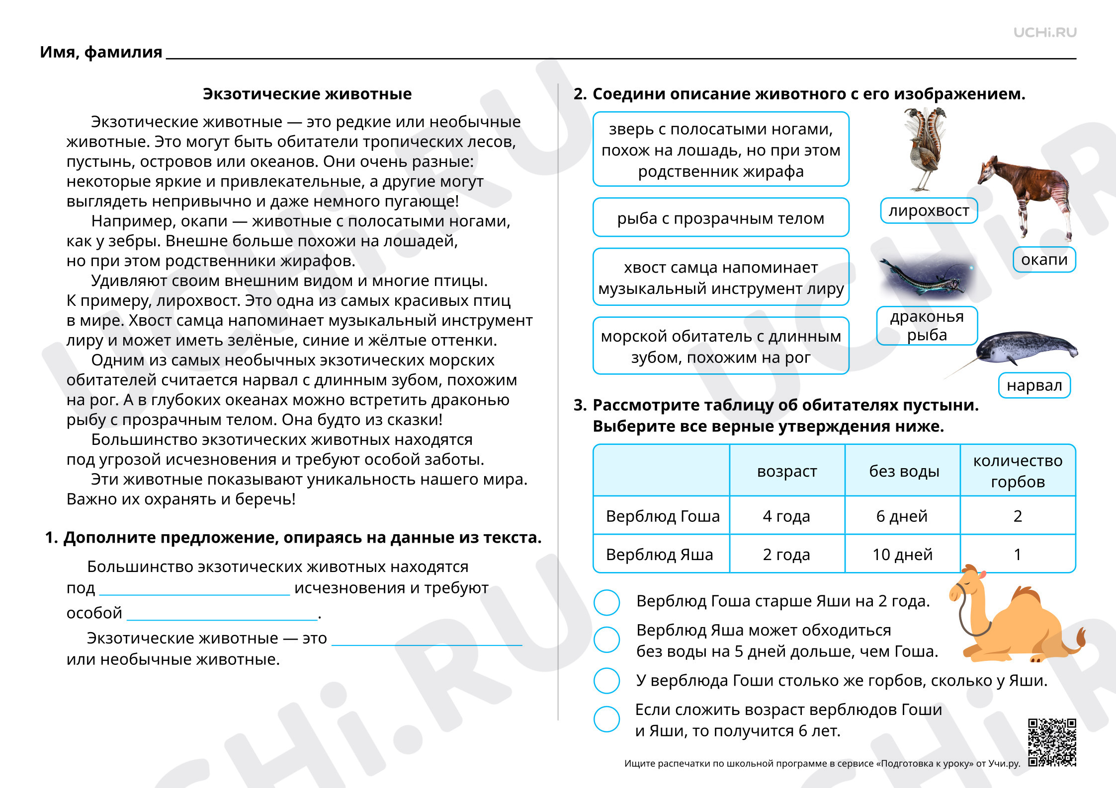 Предпросмотр материала Экзотические животные
