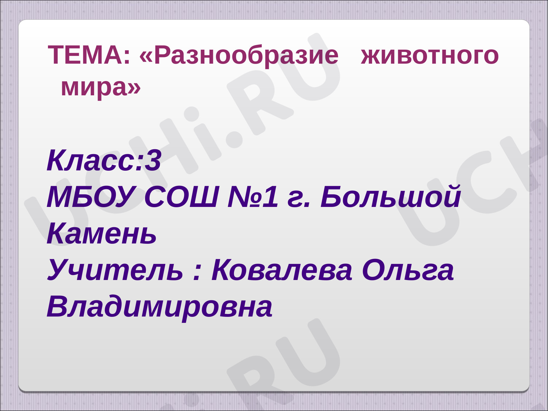 Предпросмотр материала Разнообразие животного мира
