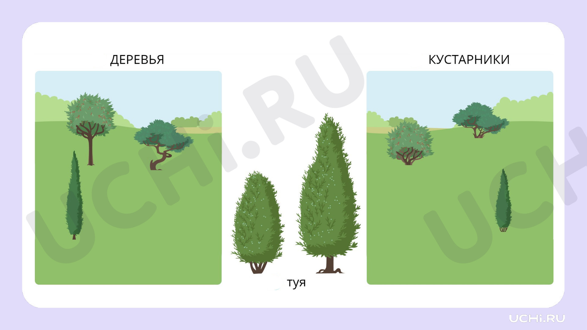 Окружающий мир для 2 четверти 1 класса. ЭОР | Подготовка к уроку от Учи.ру