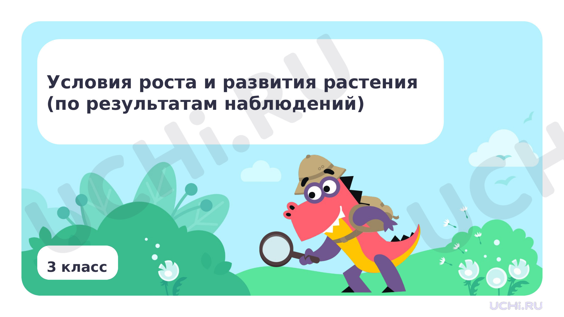 Предпросмотр материала Условия роста и развития растения (по результатам наблюдений). Бережное отношение человека к растениям