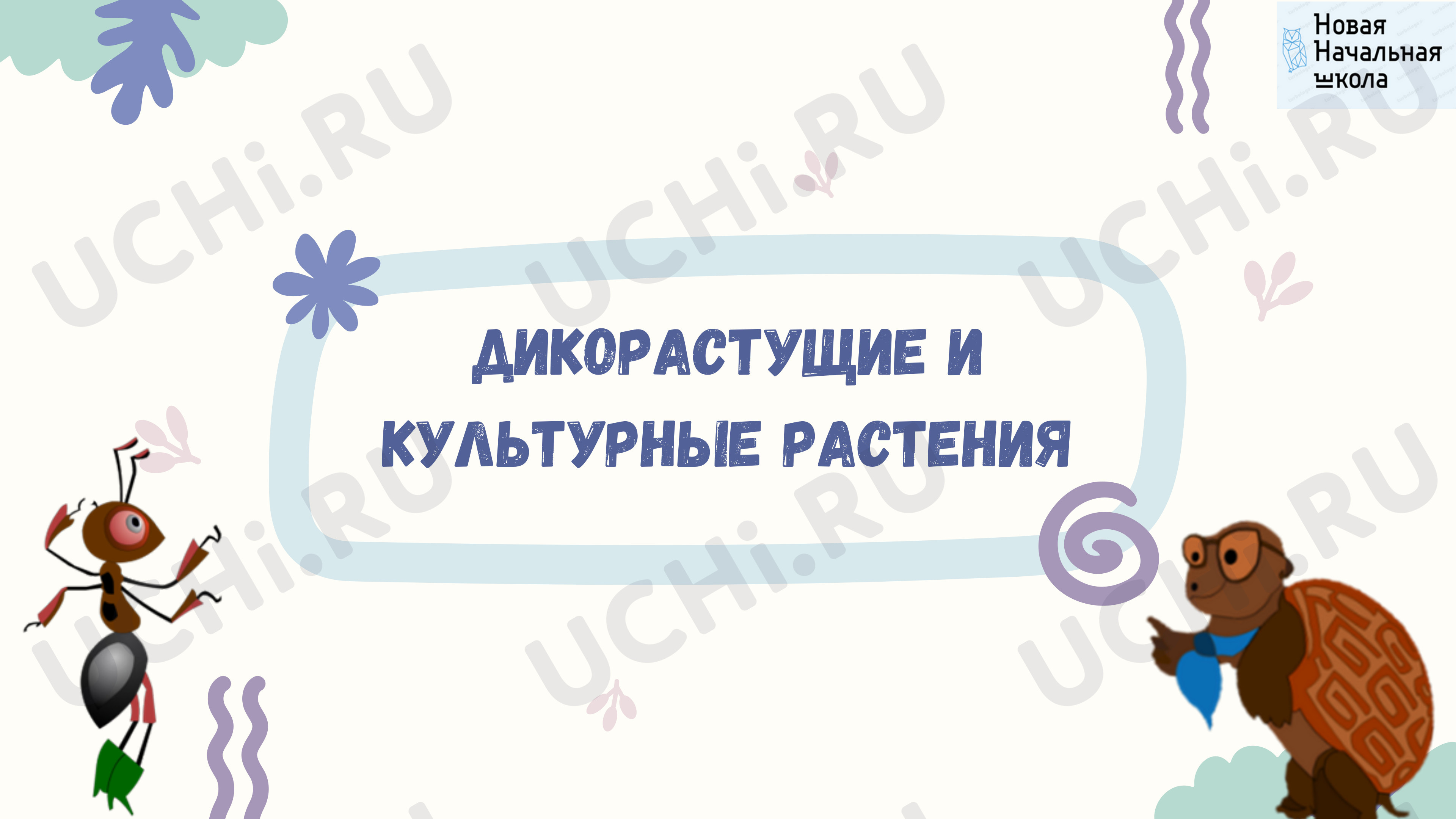 Предпросмотр материала Дикорастущие и культурные растения