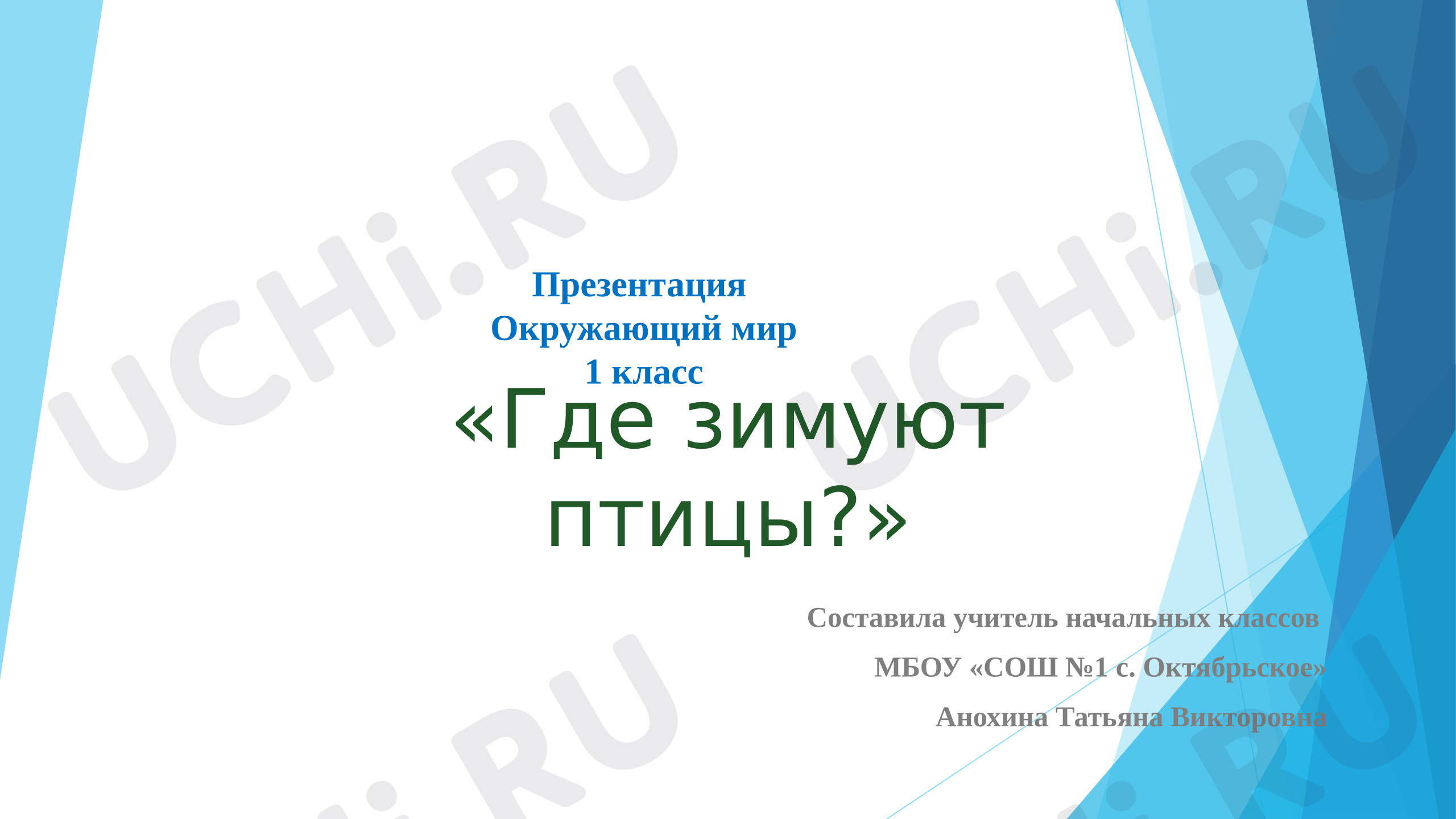 Предпросмотр материала Презентация к уроку окружающего мира "Где зимуют птицы?".