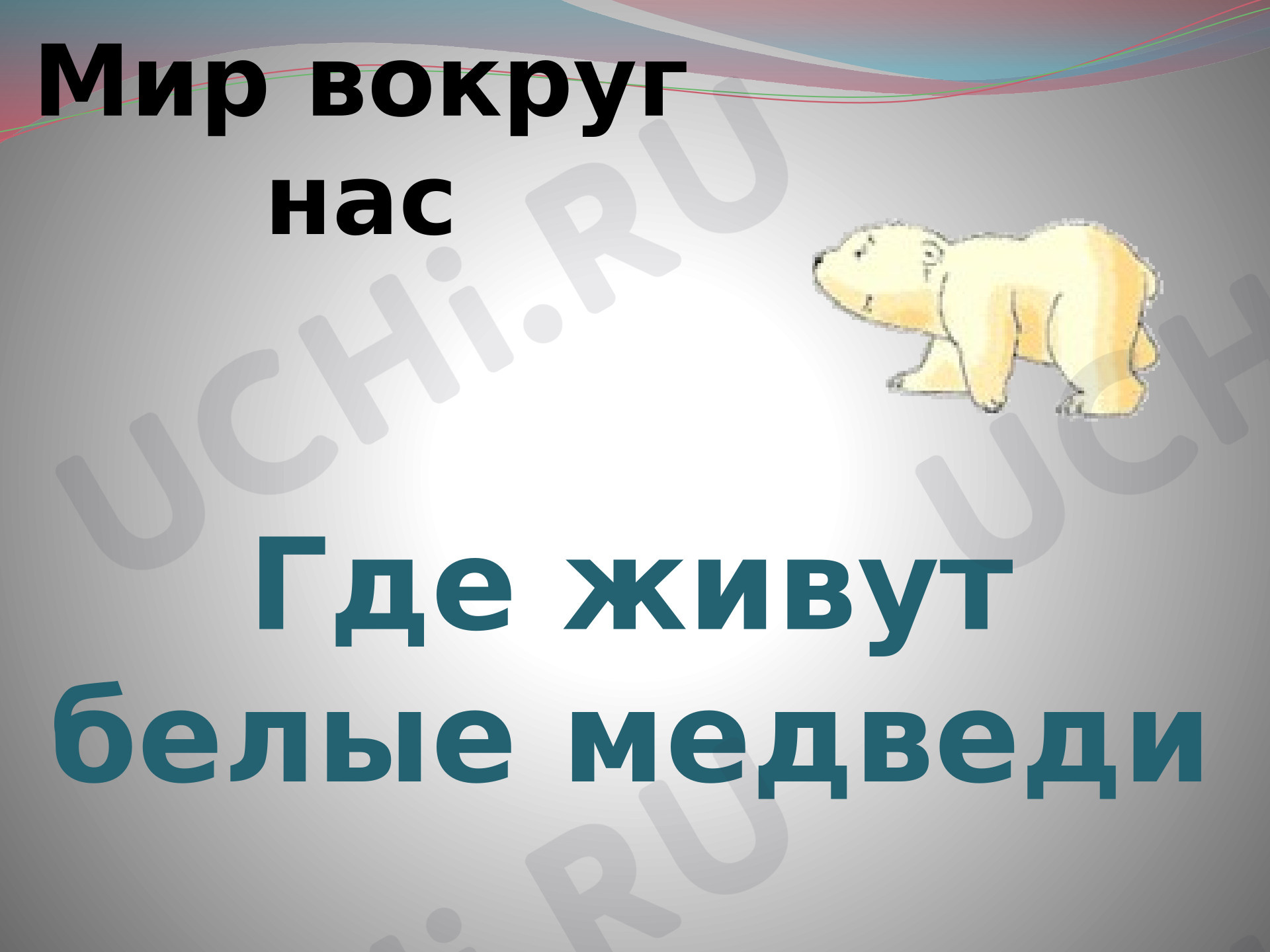 Предпросмотр материала Презентация к уроку окружающего мира. Где живут белые медведи?