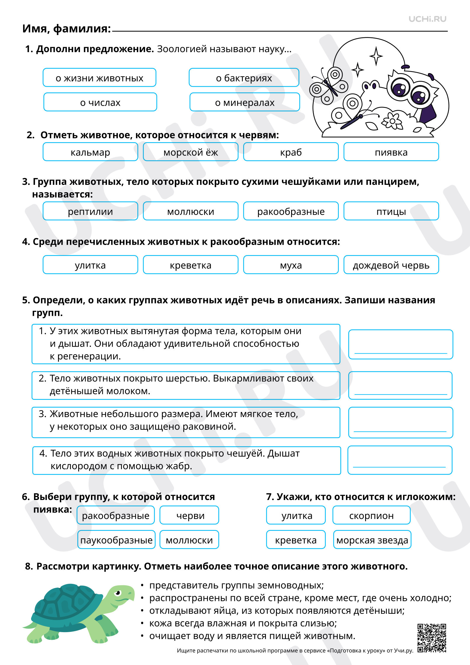 Предпросмотр материала Животные родного края: узнавание, называние, краткая характеристика