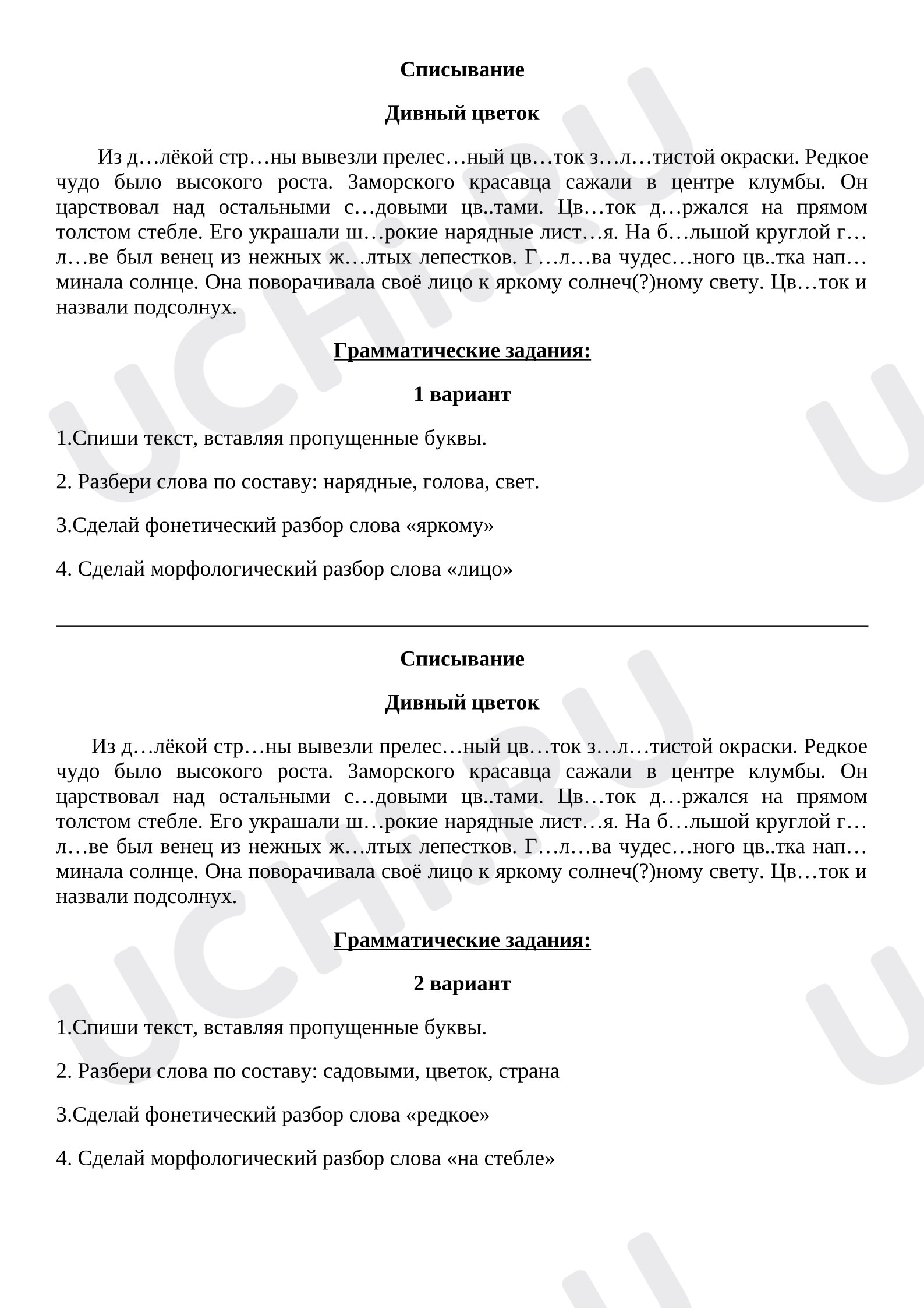 Предпросмотр материала Контрольное списывание с грамматическим заданием на тему: имя существительное.