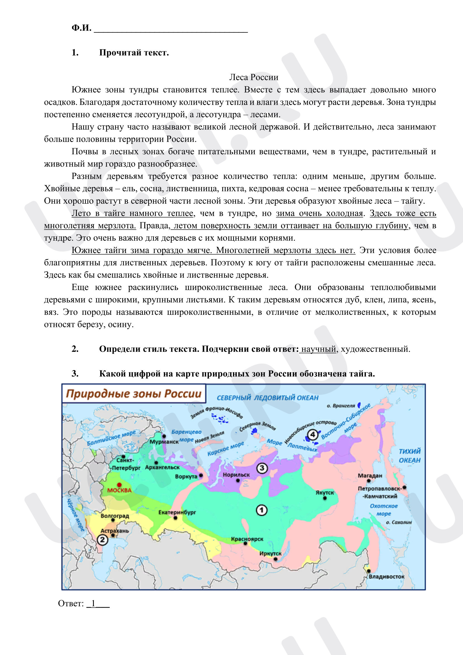 Предпросмотр материала Ответы к рабочим листам. Характеристика природных зон России: леса России.