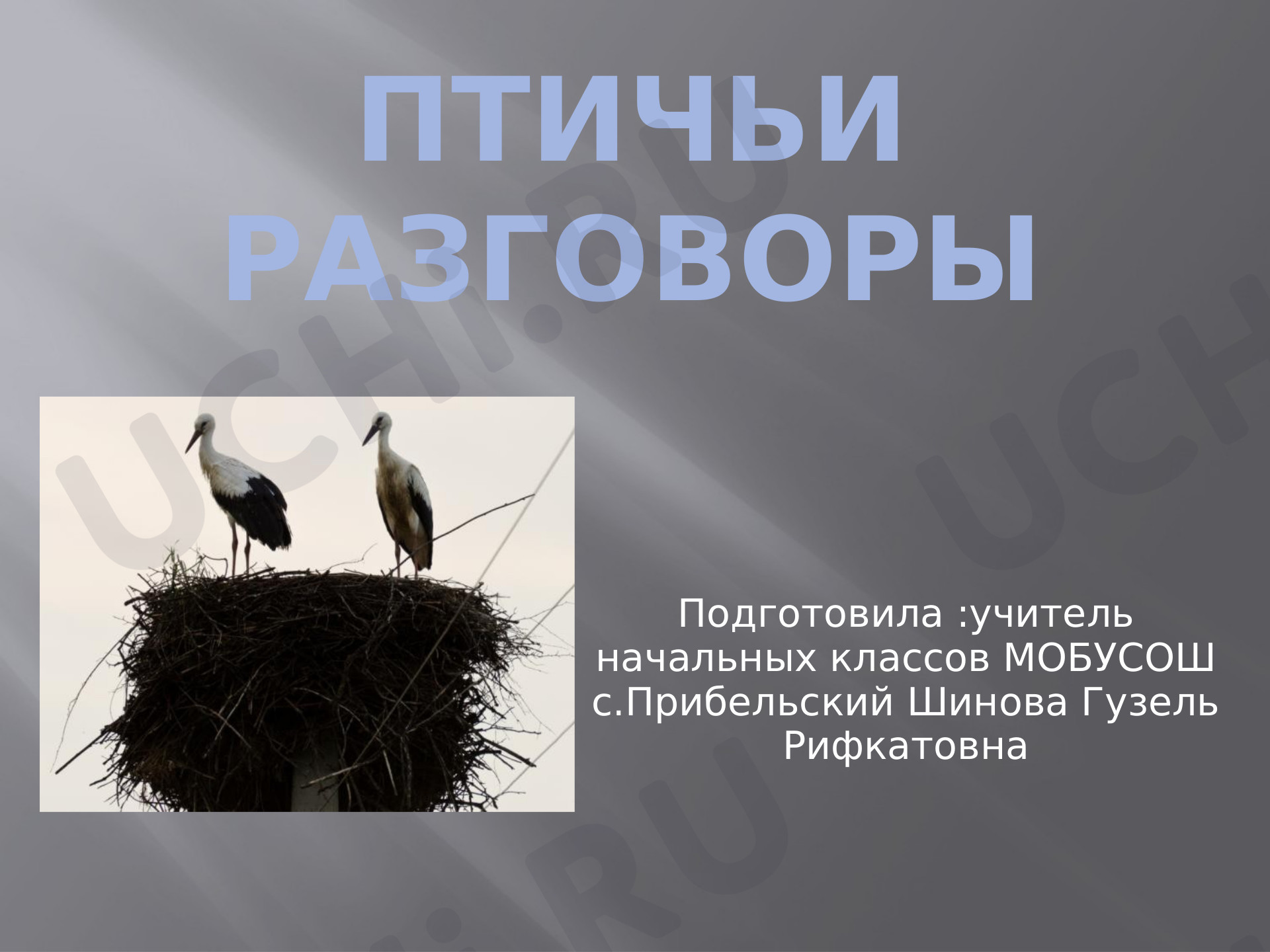 Предпросмотр материала Птичьи разговоры