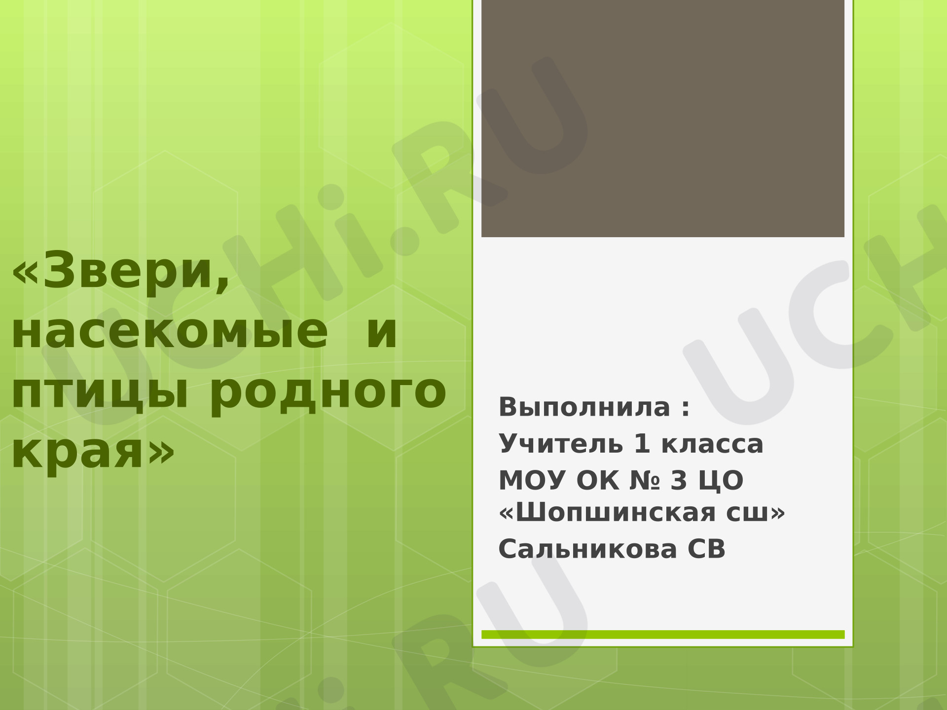 Предпросмотр материала Презентация к уроку окружающего мира «Звери, насекомые и птицы родного края»
