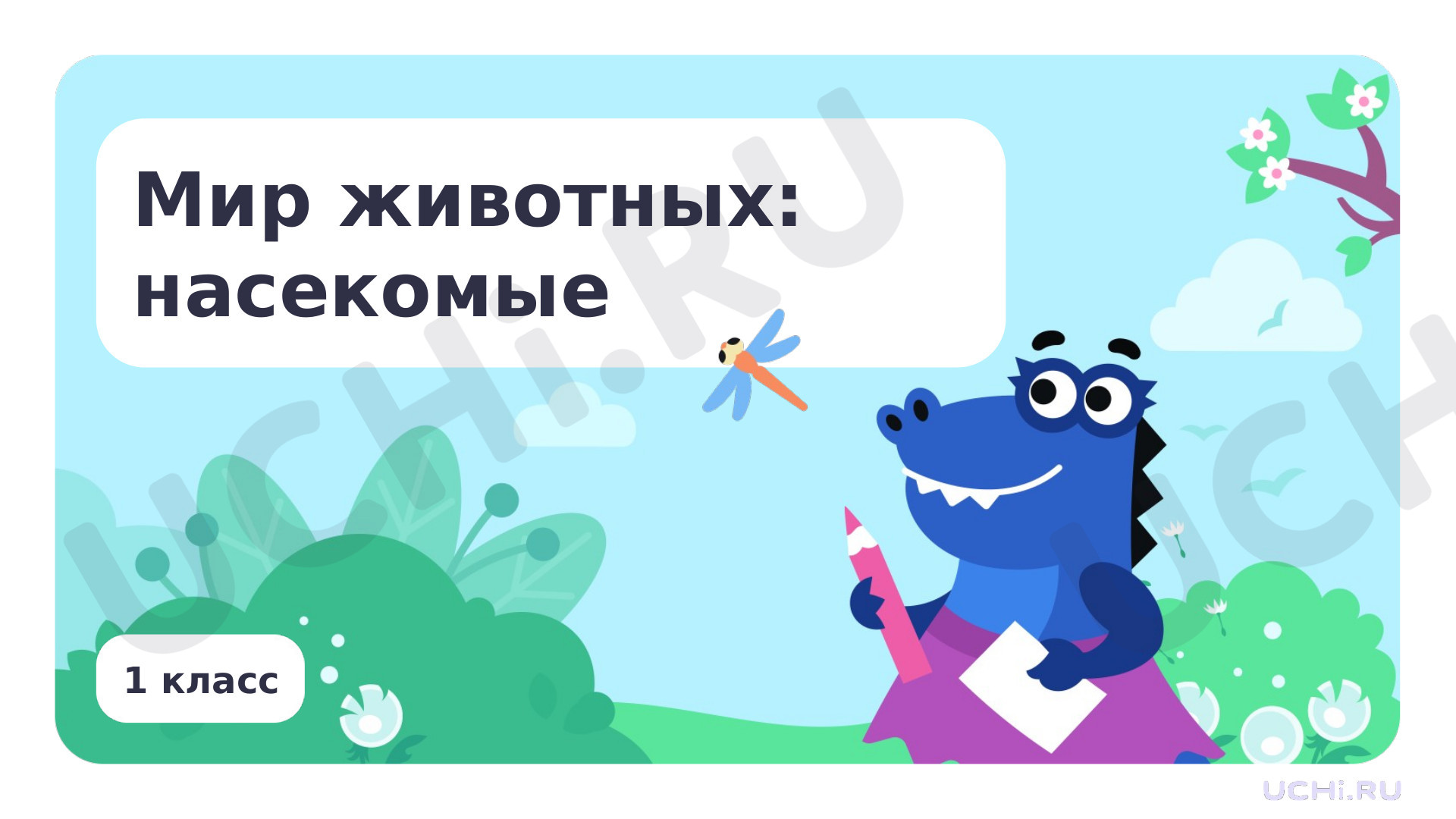 Предпросмотр материала Мир животных: насекомые. Главная особенность этой группы животных
