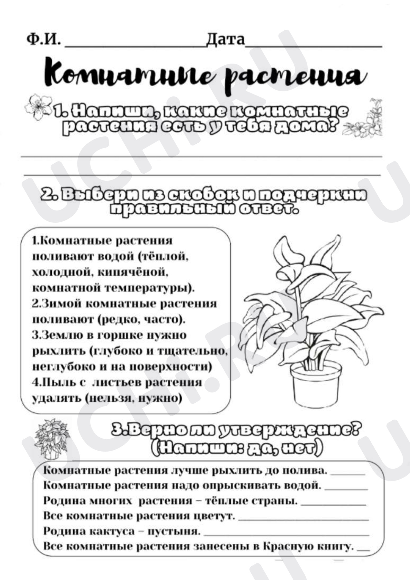 Предпросмотр материала Рабочий лист к уроку окружающего мира. Комнатные растения