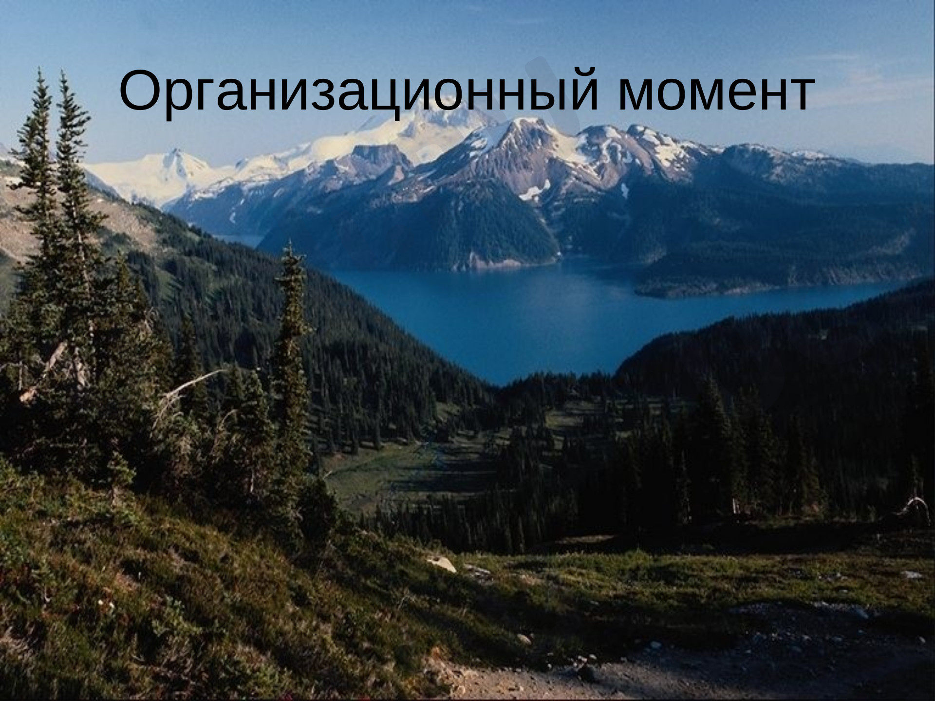 Предпросмотр материала Животные