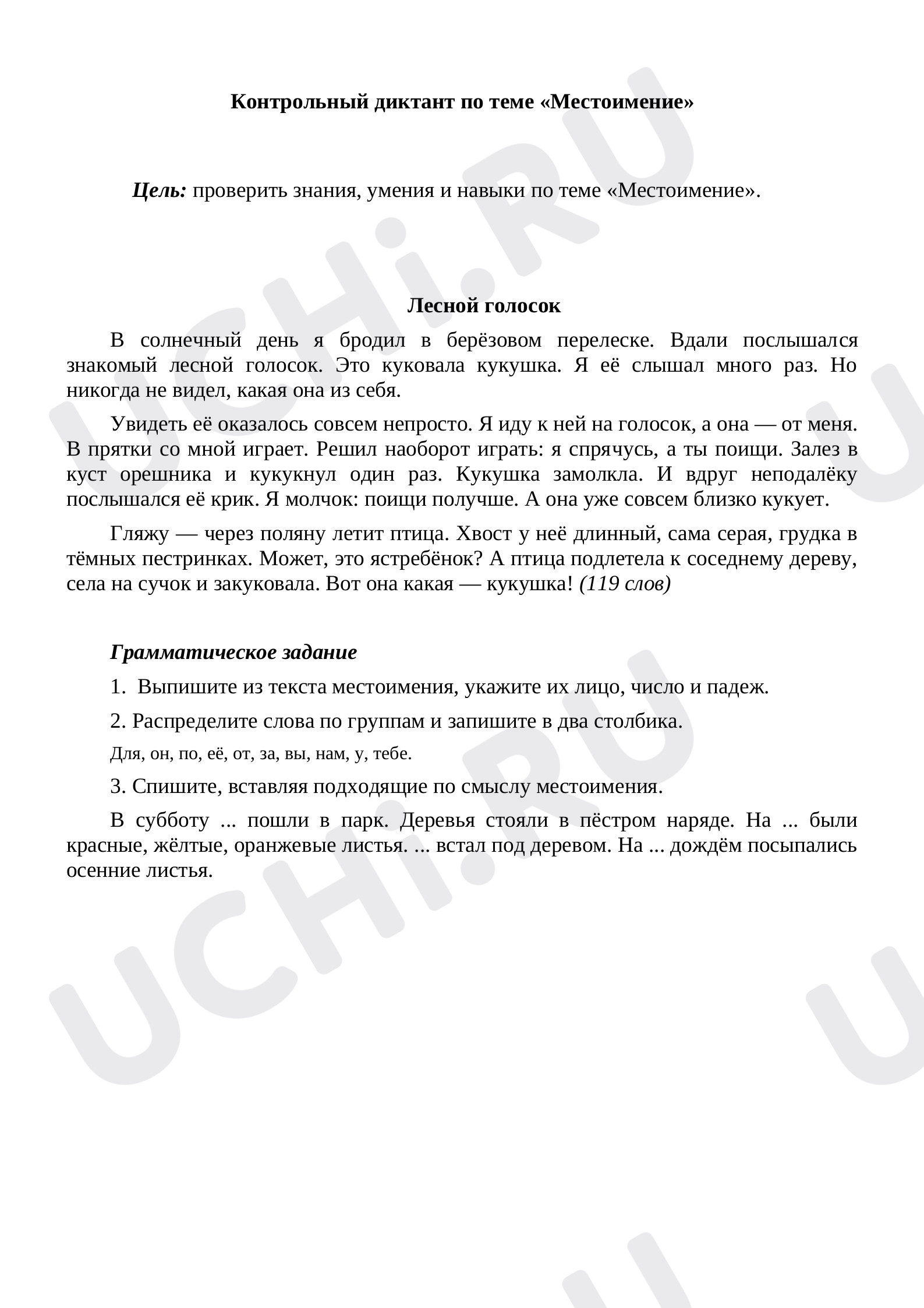 Предпросмотр материала Местоимение. Диктант