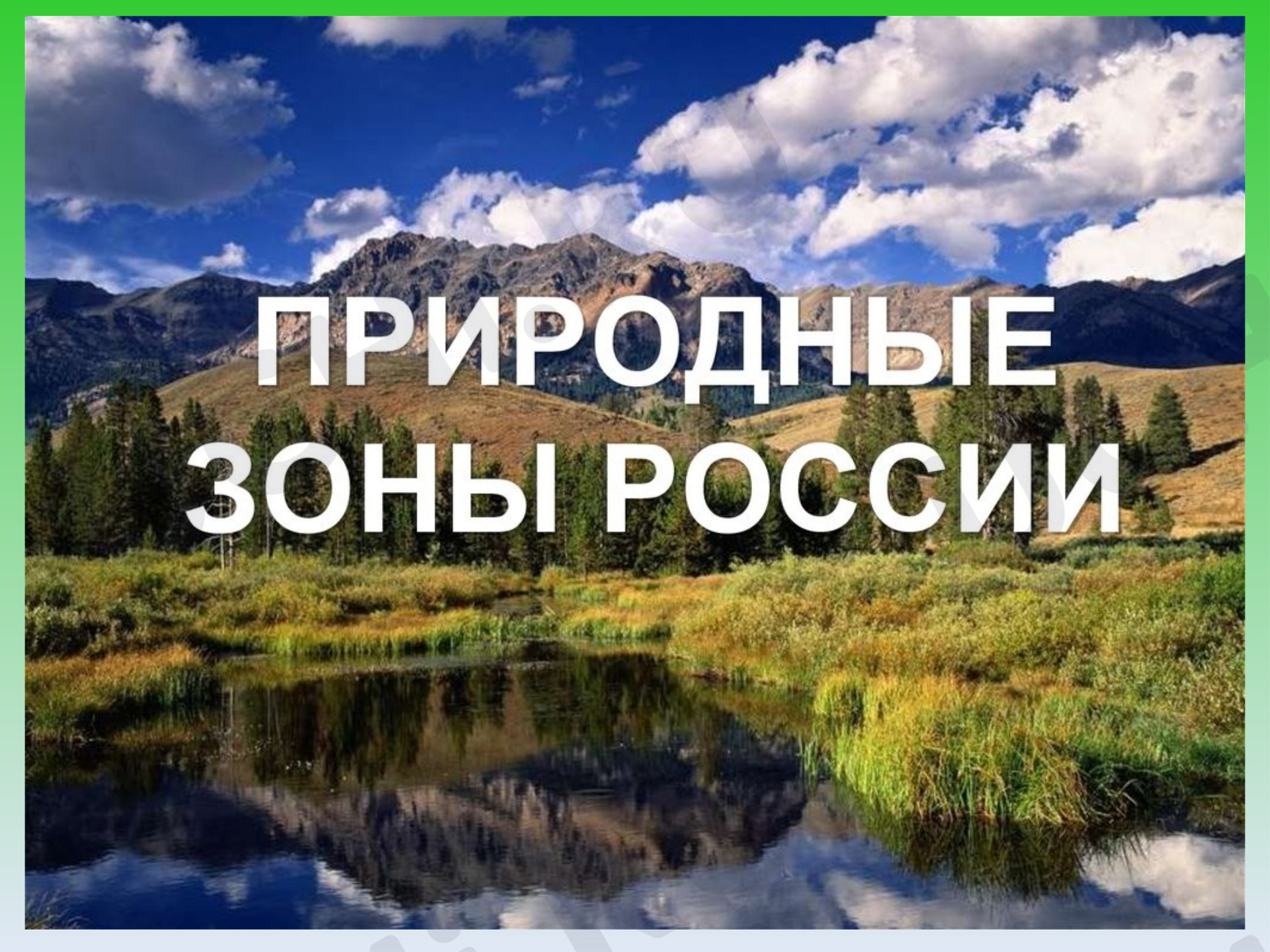 Предпросмотр материала Россия — страна лесов