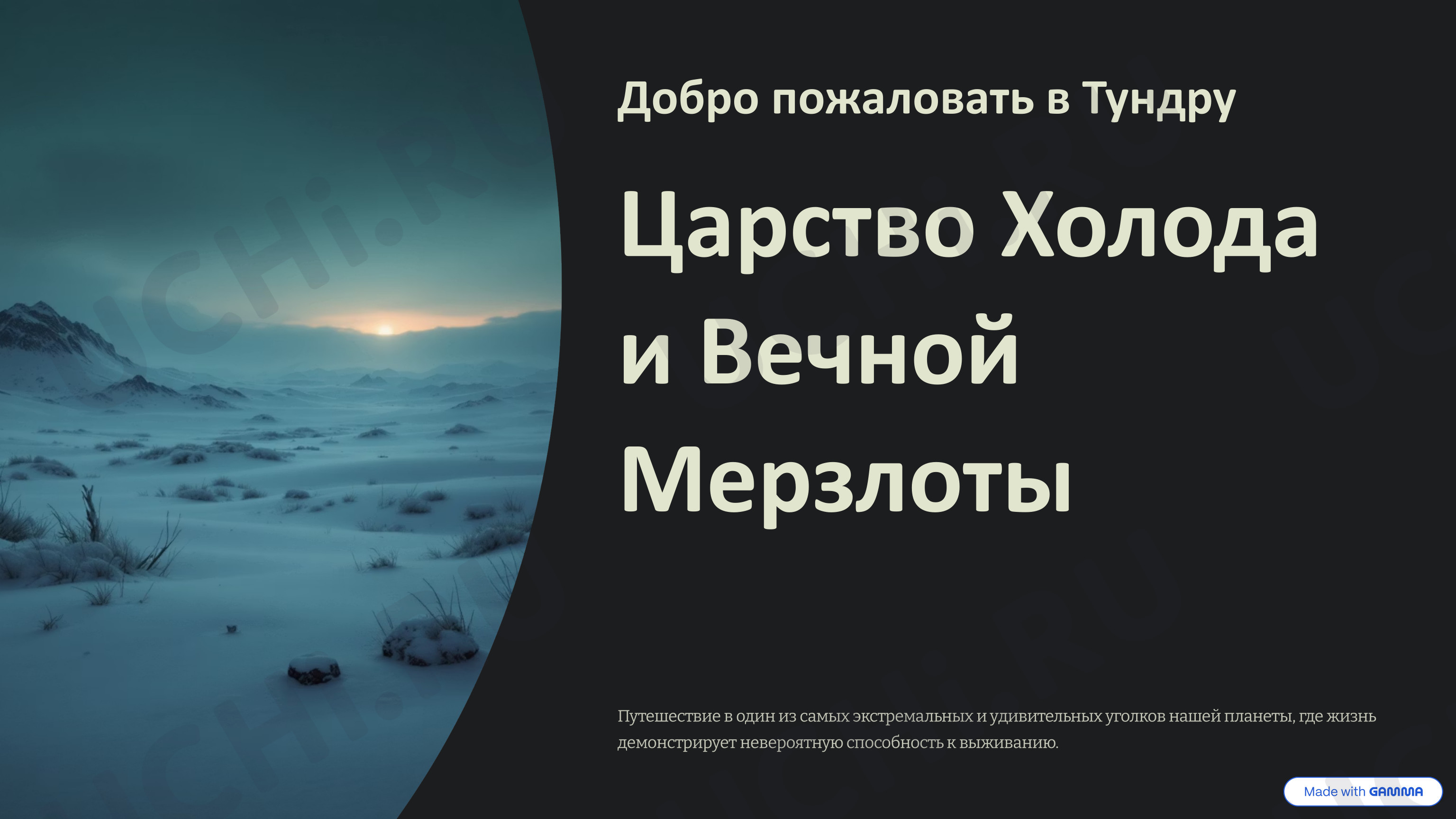 Предпросмотр материала Презентация к уроку окружающего мира по теме «Тундра».