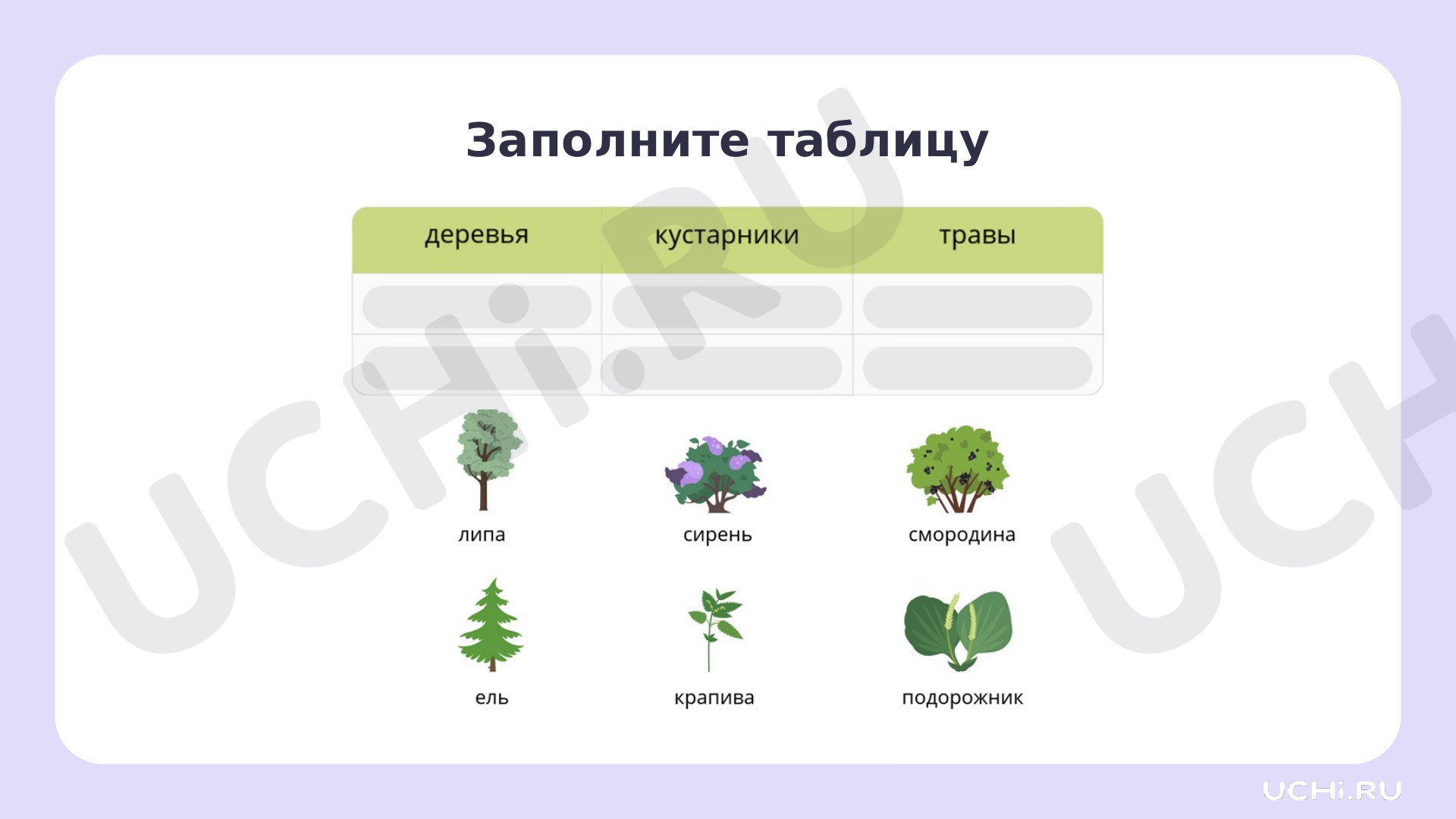 Окружающий мир для 2 четверти 1 класса. ЭОР | Подготовка к уроку от Учи.ру