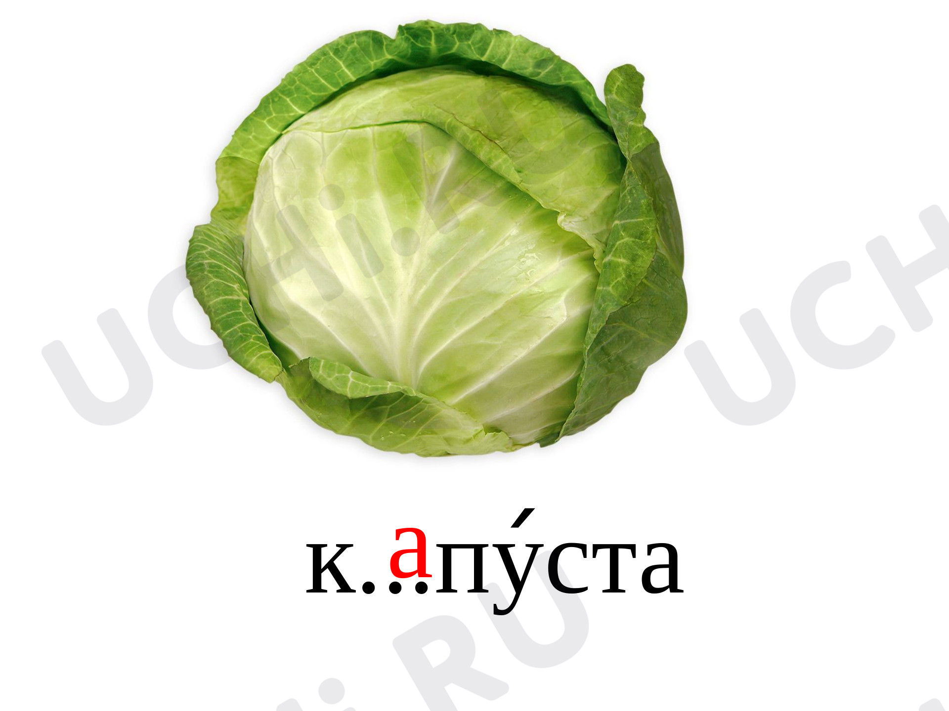 Предпросмотр материала Словарные слова