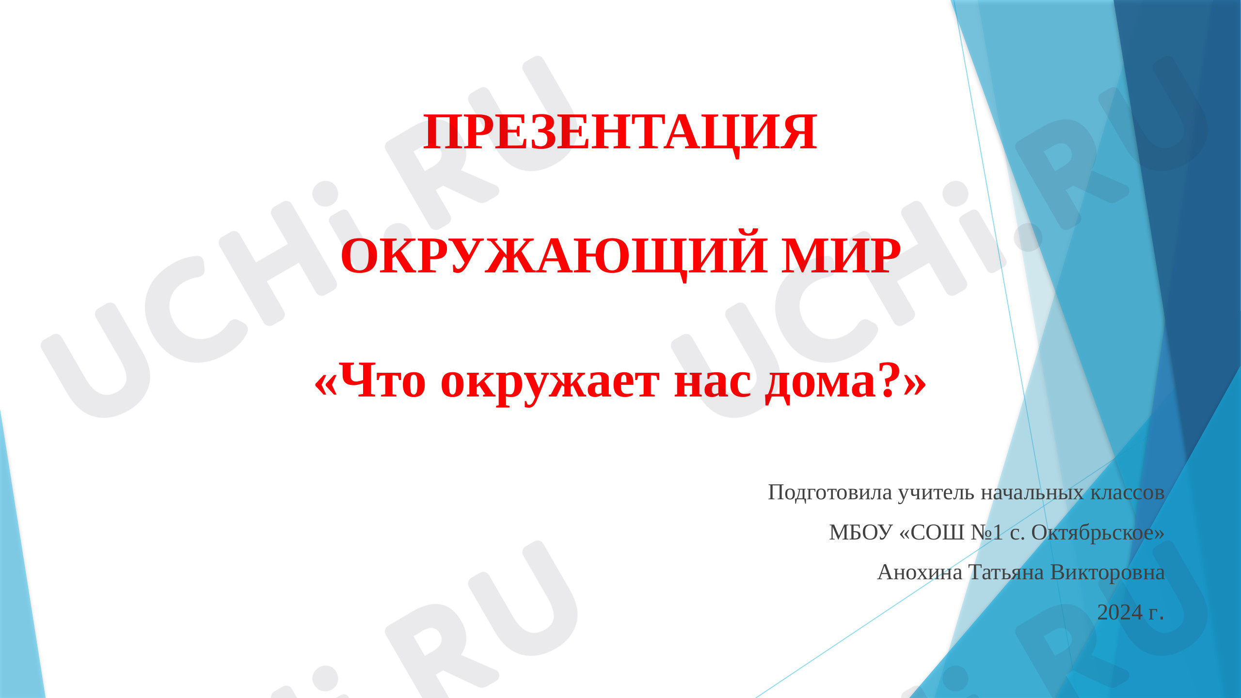 Предпросмотр материала Что нас окружает дома?