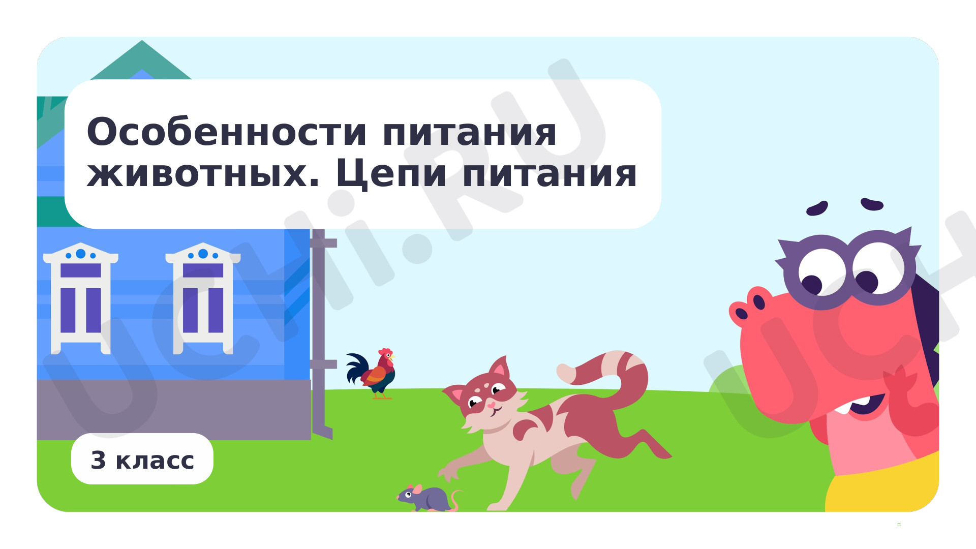 Предпросмотр материала Особенности питания животных. Цепи питания